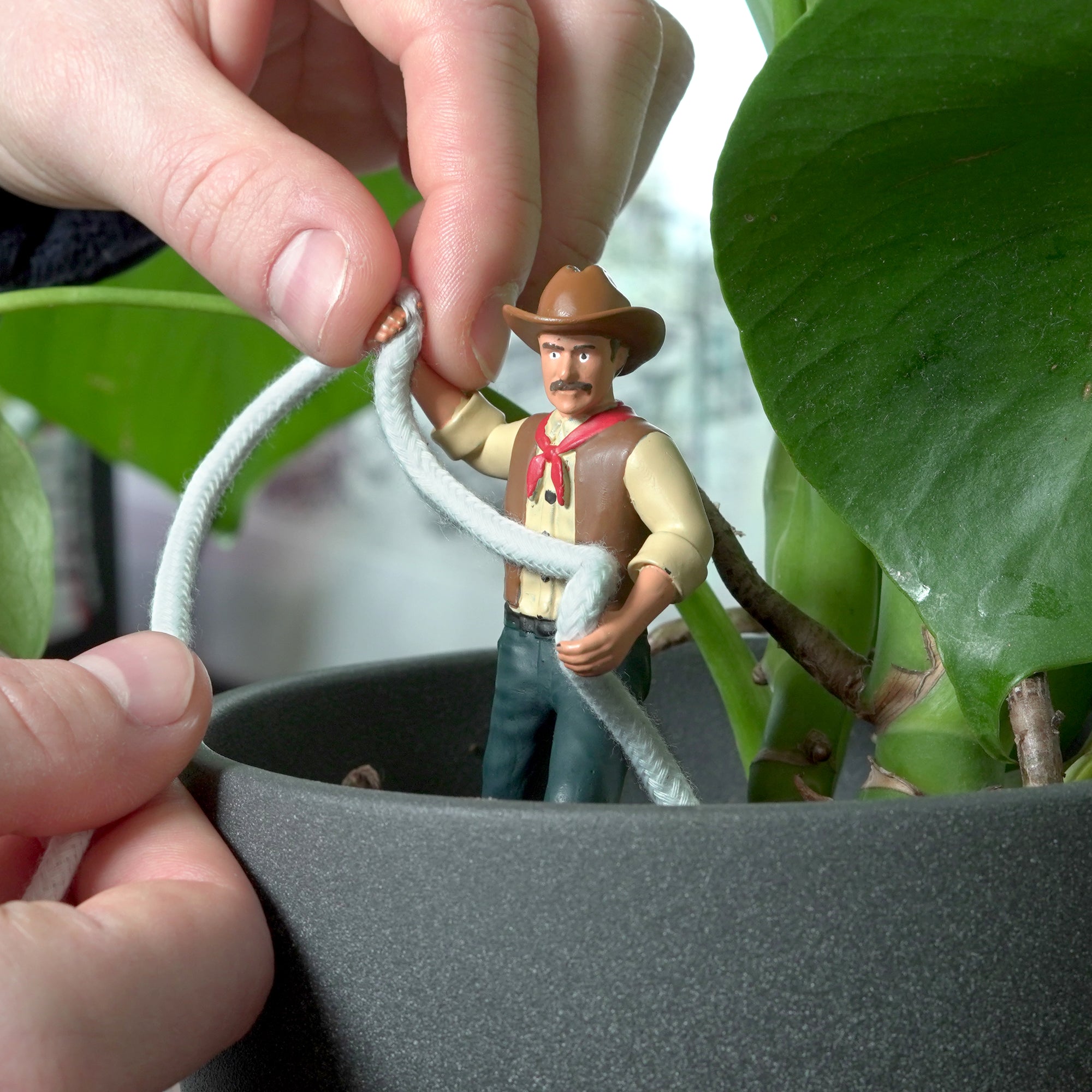 Waterin' Wrangler - Cowboy Clyde