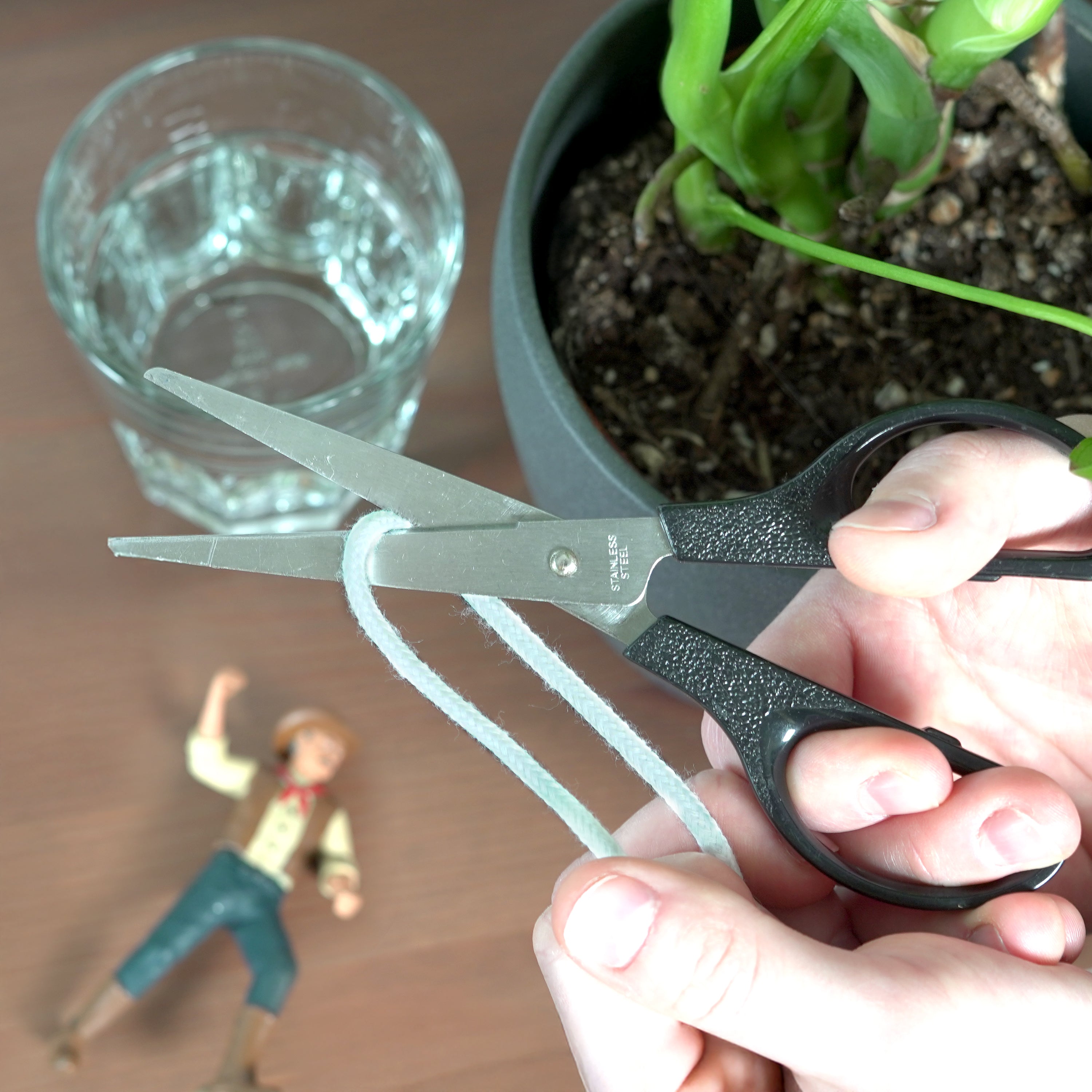 Waterin' Wrangler - Cowboy Clyde