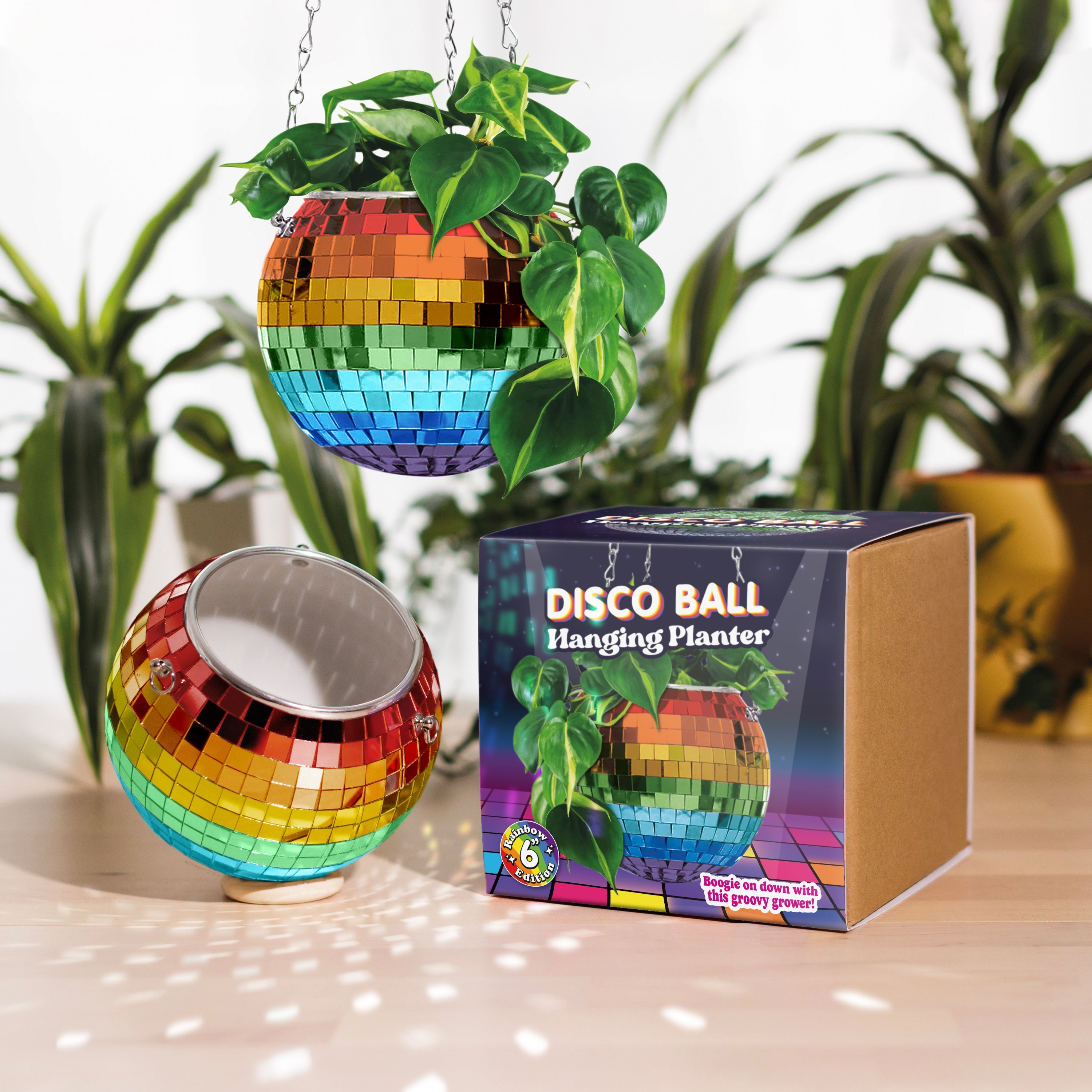 Disco Ball Hanging Planter - Rainbow (8-inch)
