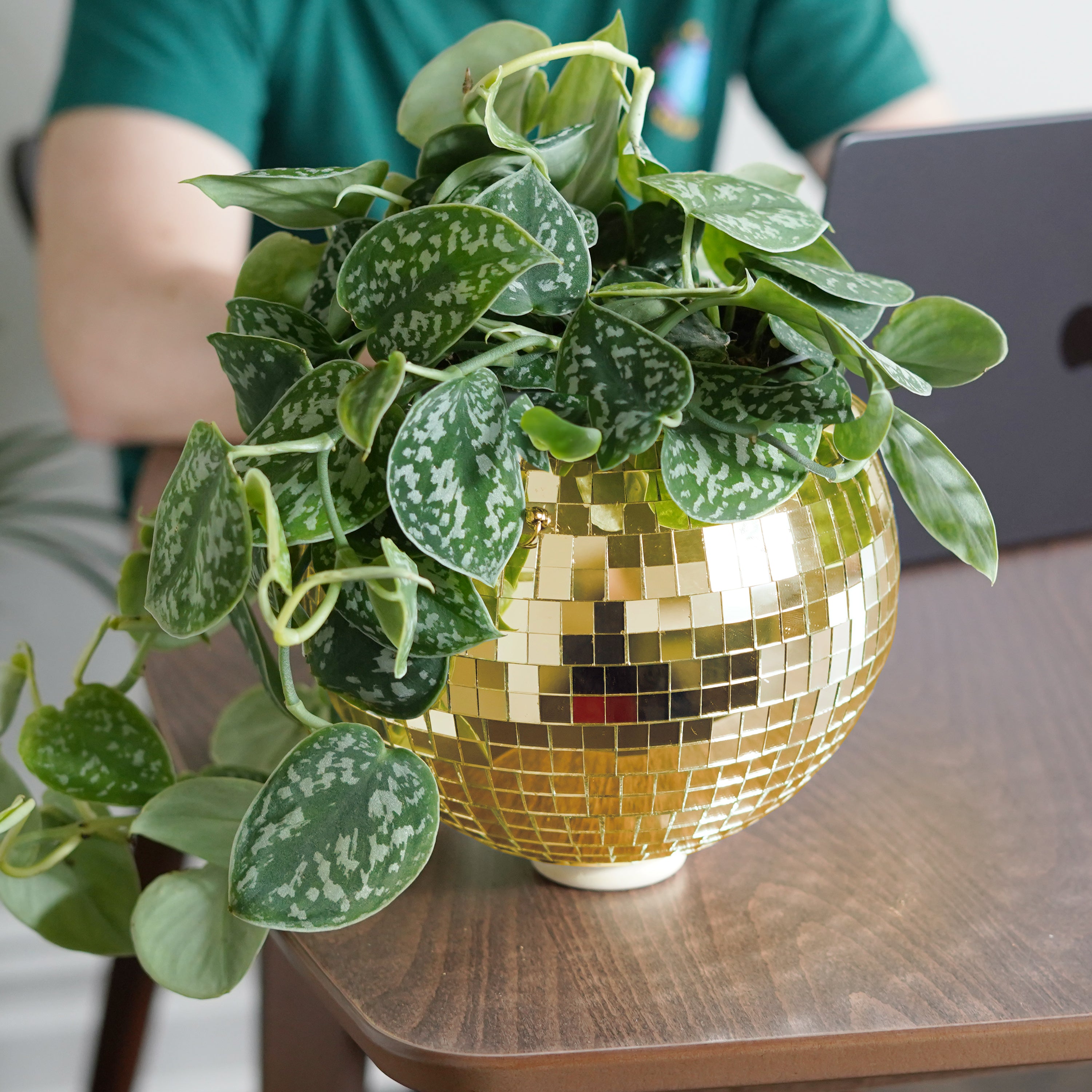 Disco Ball Hanging Planter - Gold (8-inch)