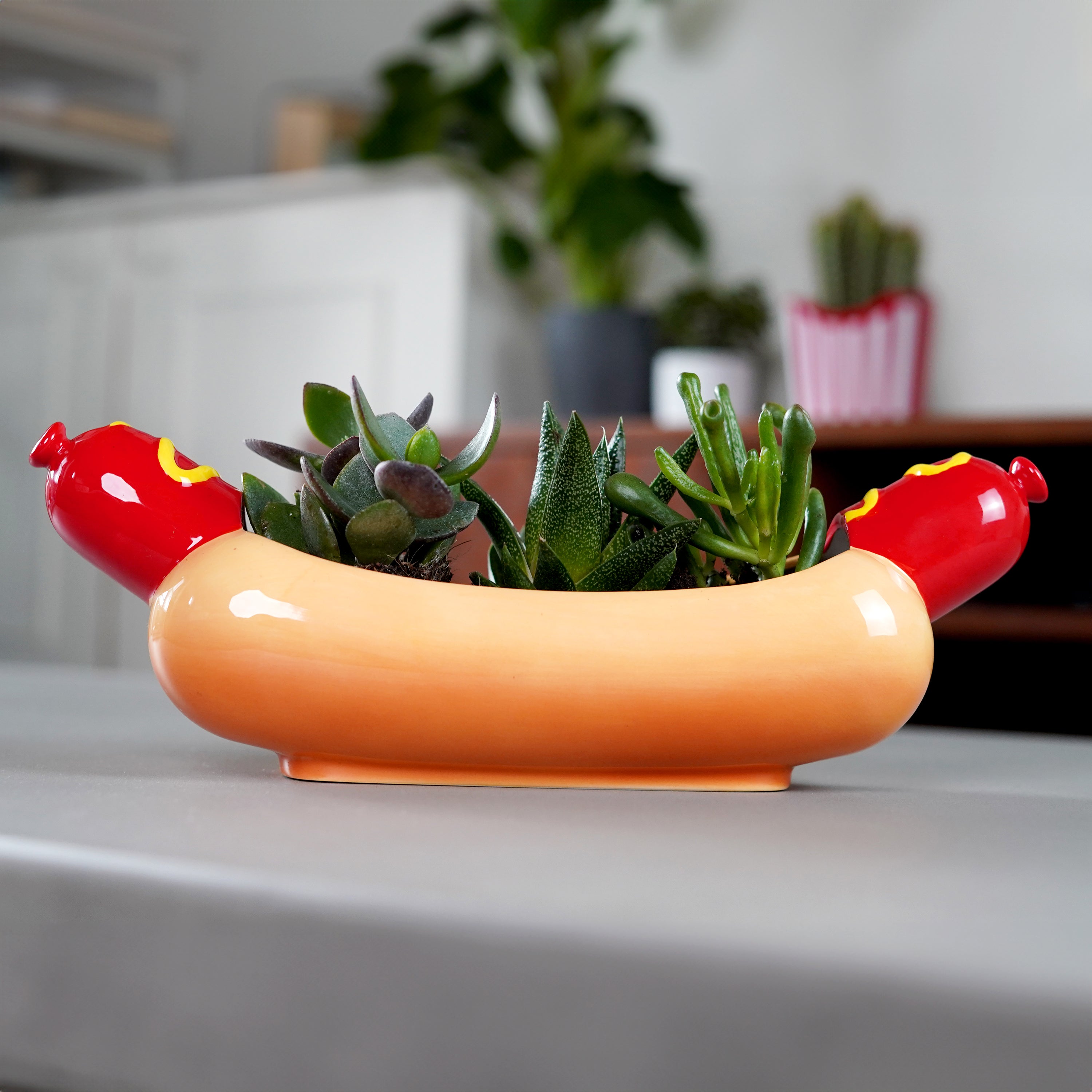 hot dog plant succulent Hot Dog Planter