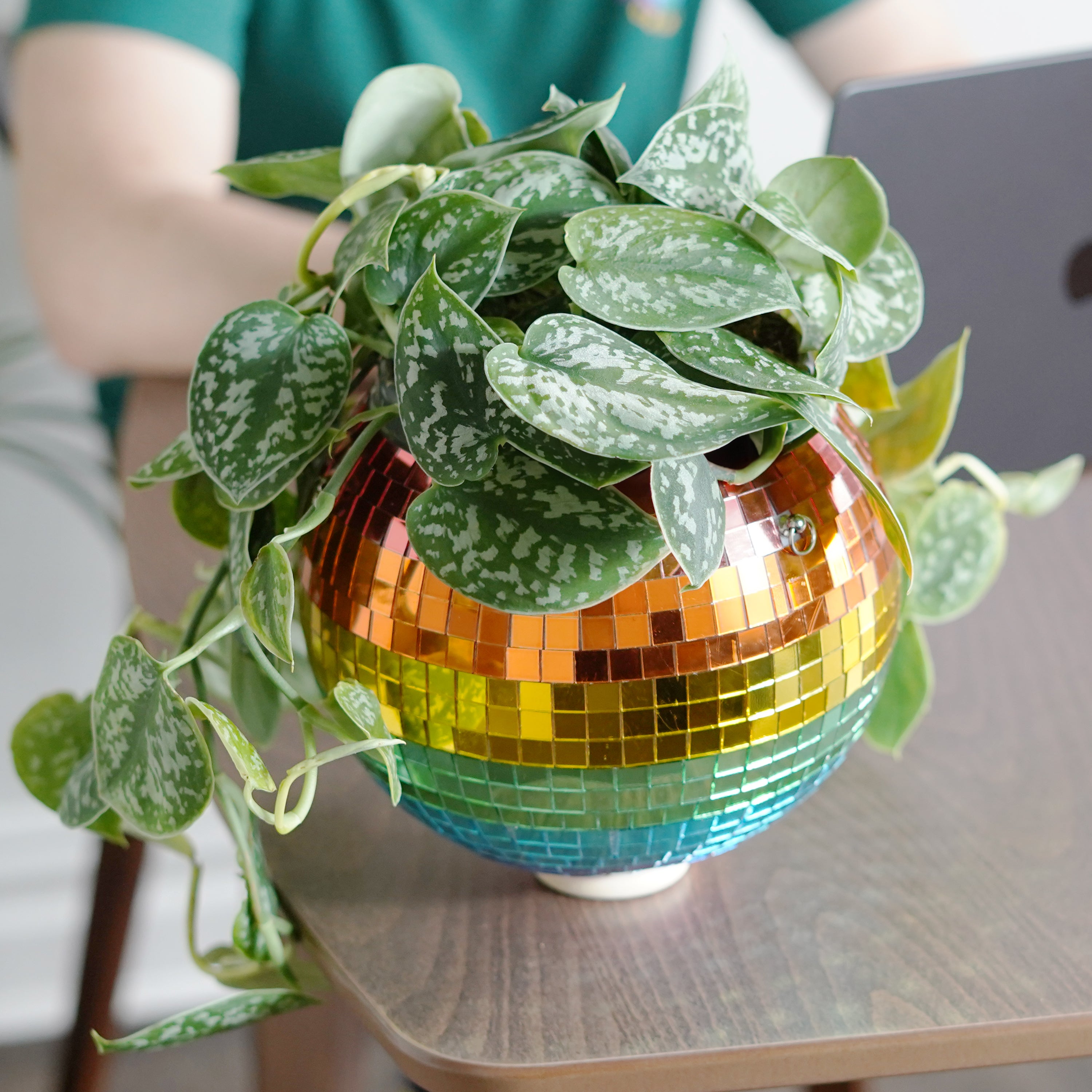 Disco Ball Hanging Planter - Rainbow (8-inch)