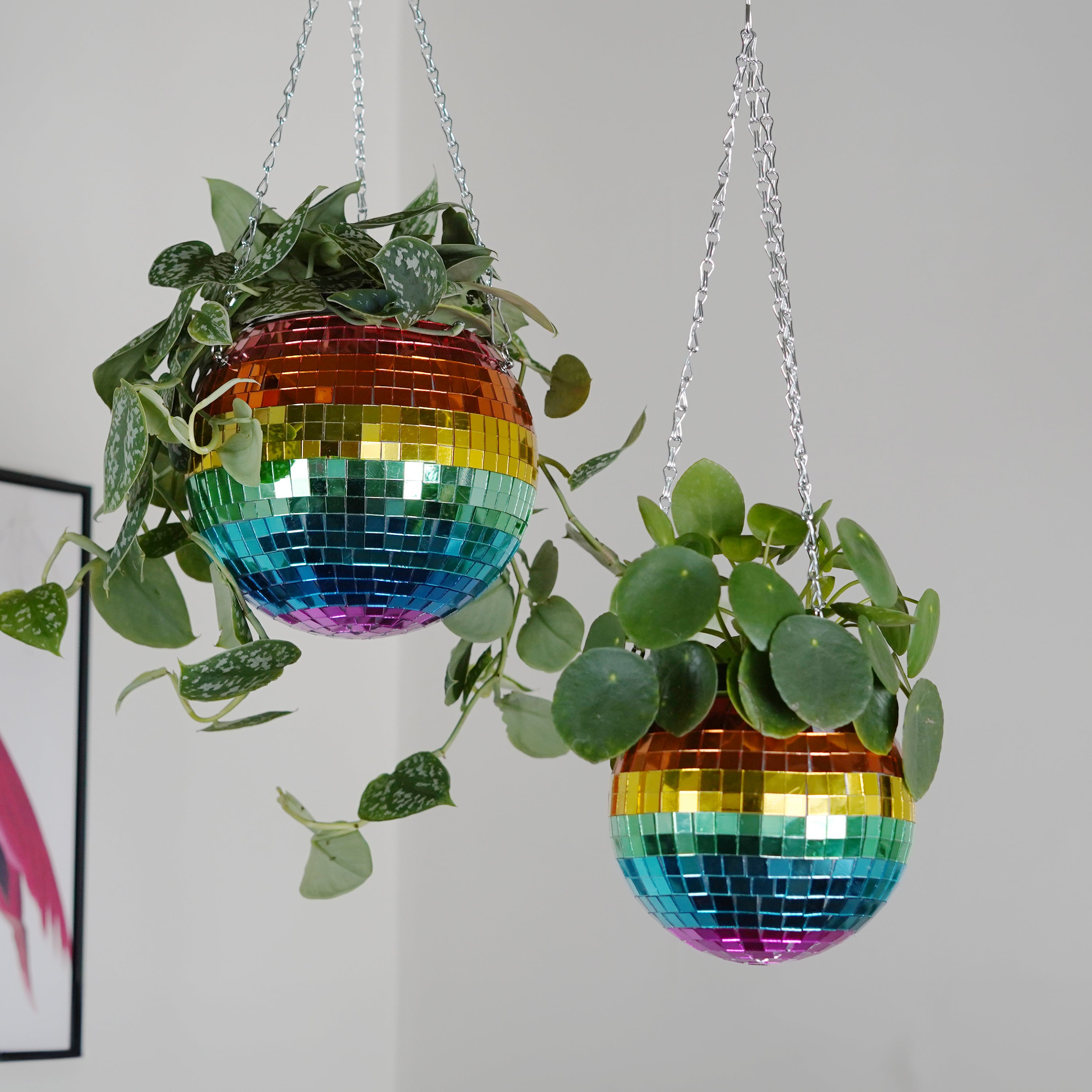 Disco Ball Hanging Planter - Rainbow (8-inch)