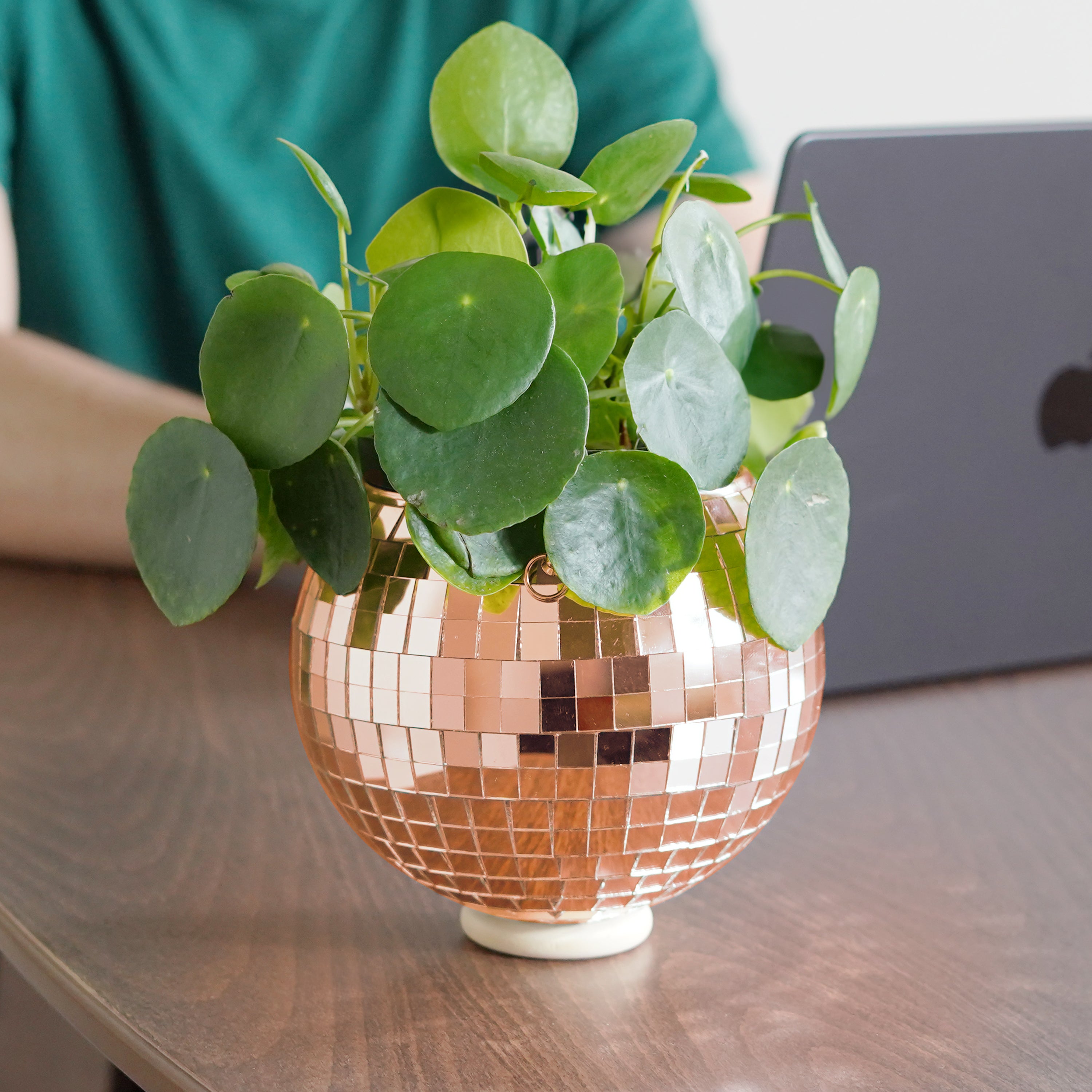 Disco Ball Hanging Planter - Rose Gold (6-inch)