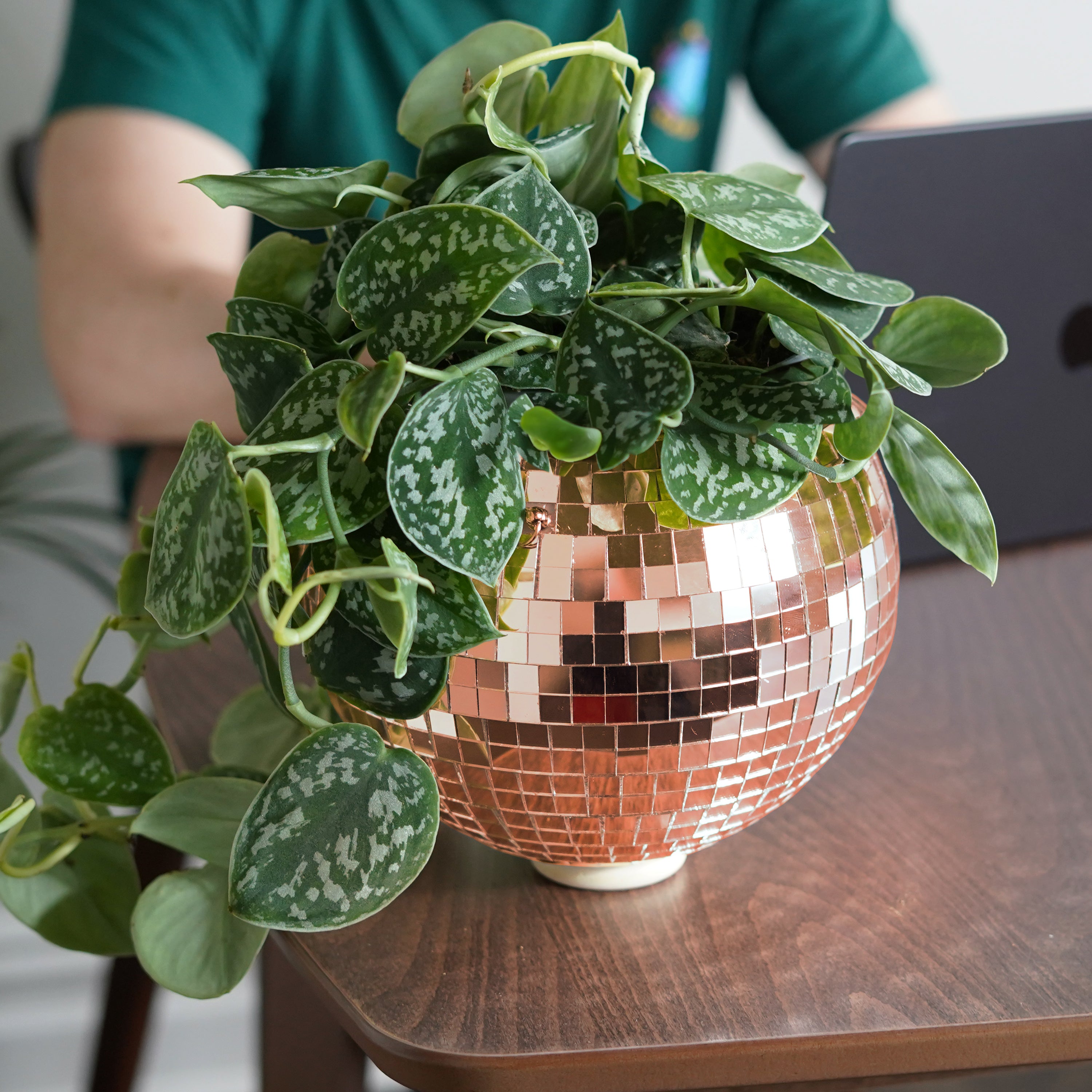 Disco Ball Hanging Planter - Rose Gold (8-inch)