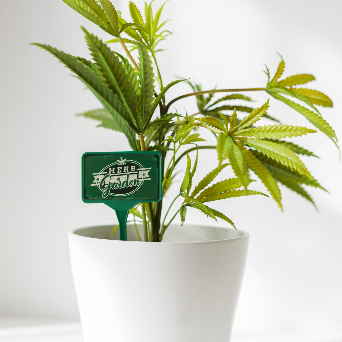 Hash Tags Pot Plant Gifts Bubblegum Stuff