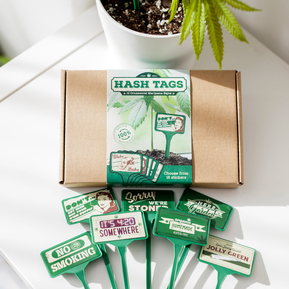 Hash Tags Pot Plant Gifts Bubblegum Stuff