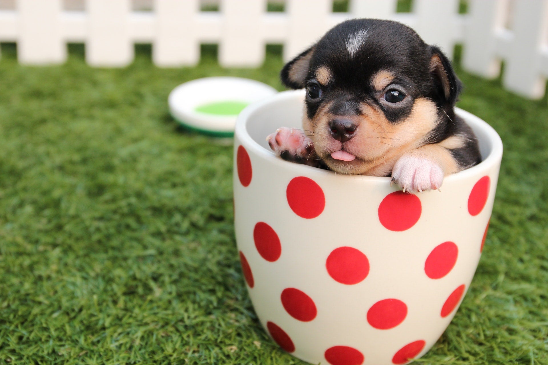 19 Fun Animal Facts That’ll Blow Your Mind