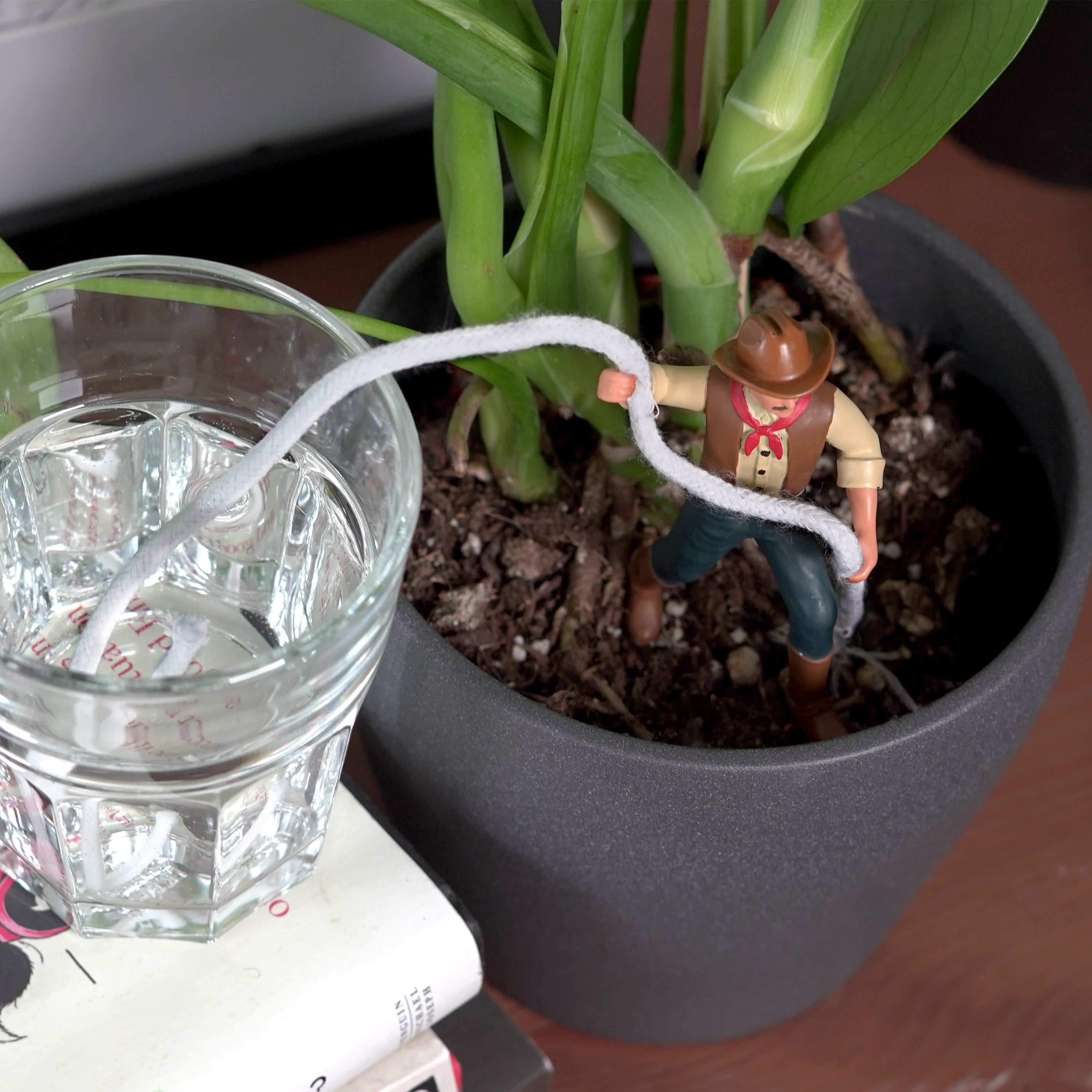 Waterin' Wrangler- Cowboy