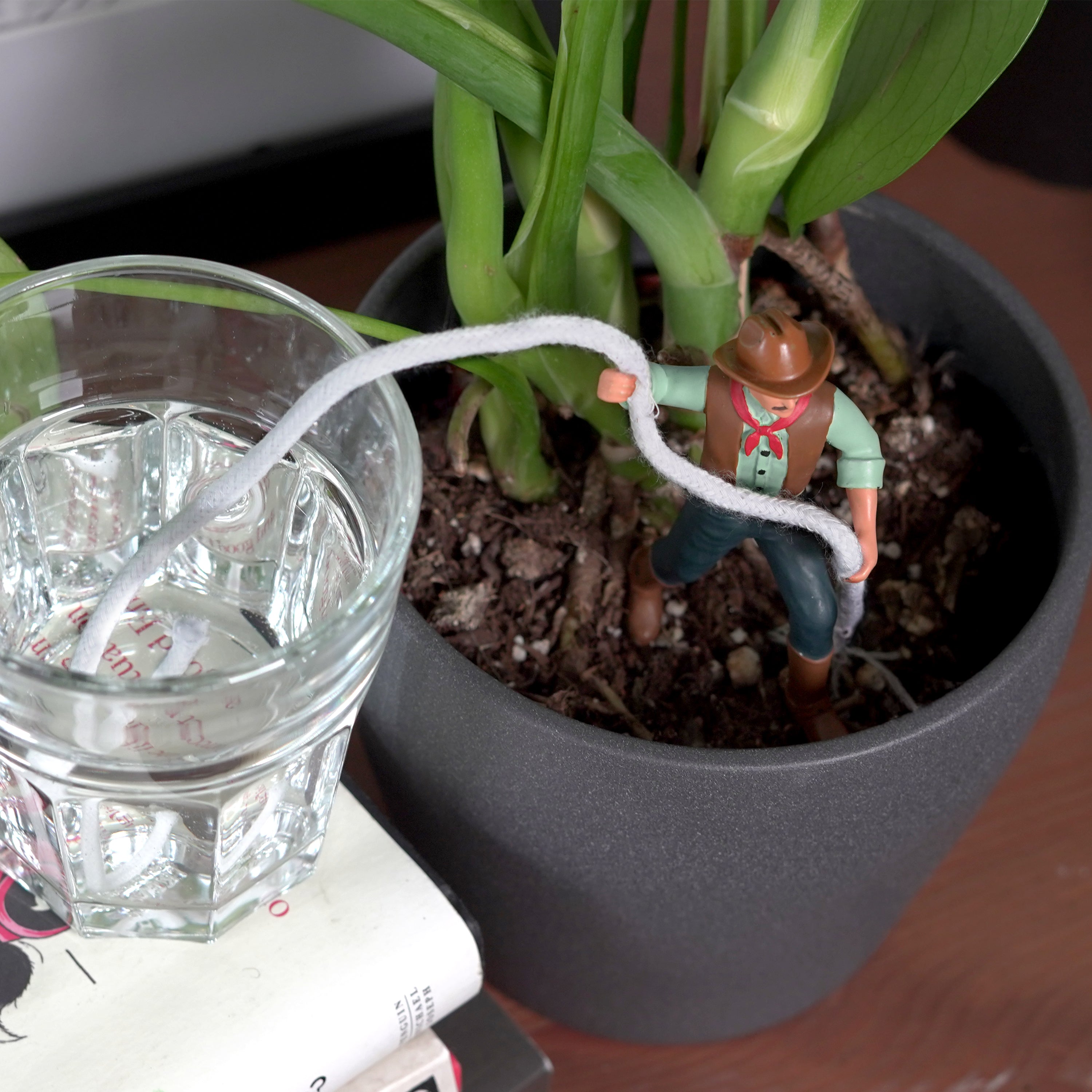 plant self waterers Waterin' Wrangler - Cowboy Clyde