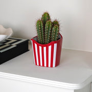 French Fries Planter