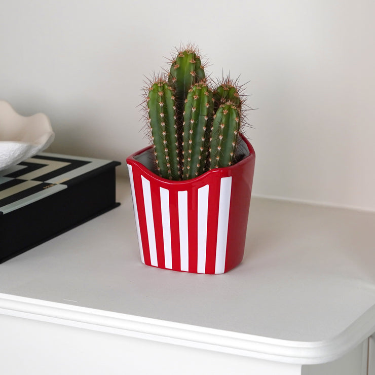 French Fries Planter