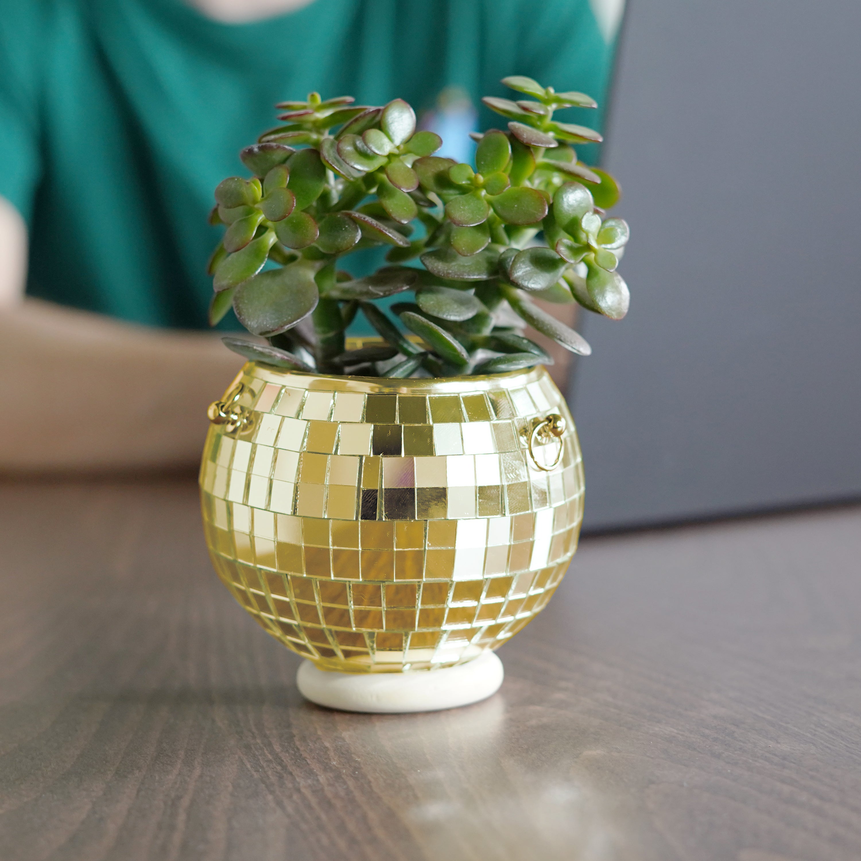 Disco Ball Hanging Planter - Gold (4-inch)
