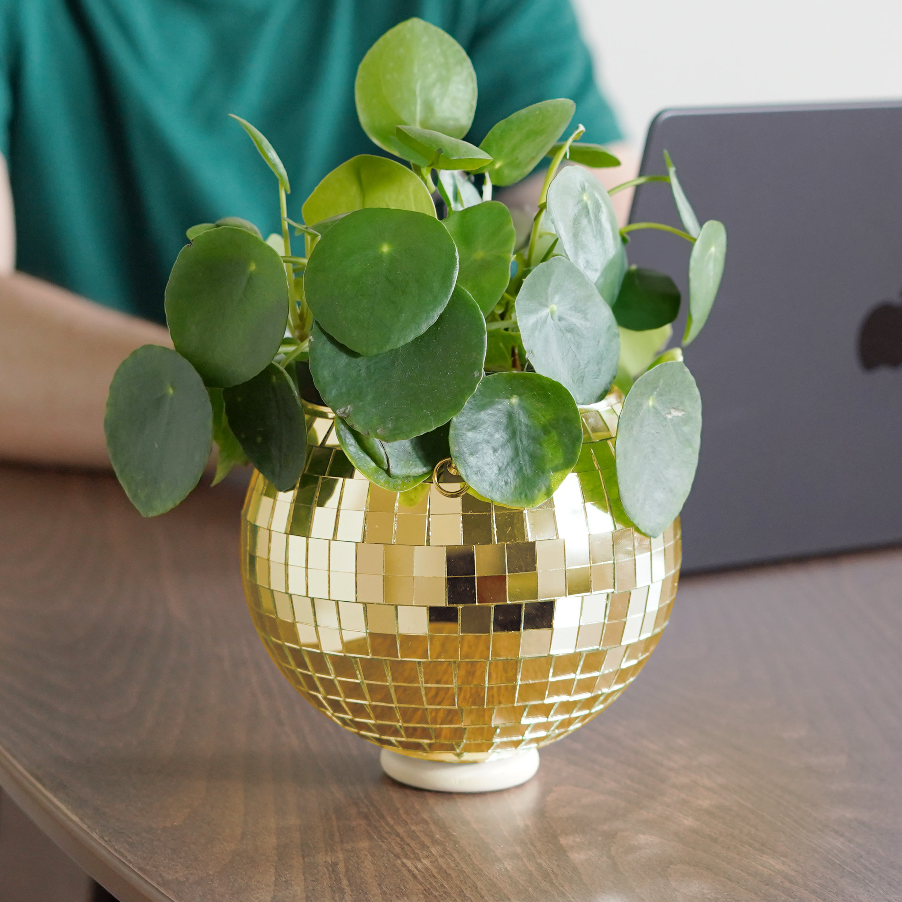 Disco Ball Hanging Planter - Gold (6-inch)