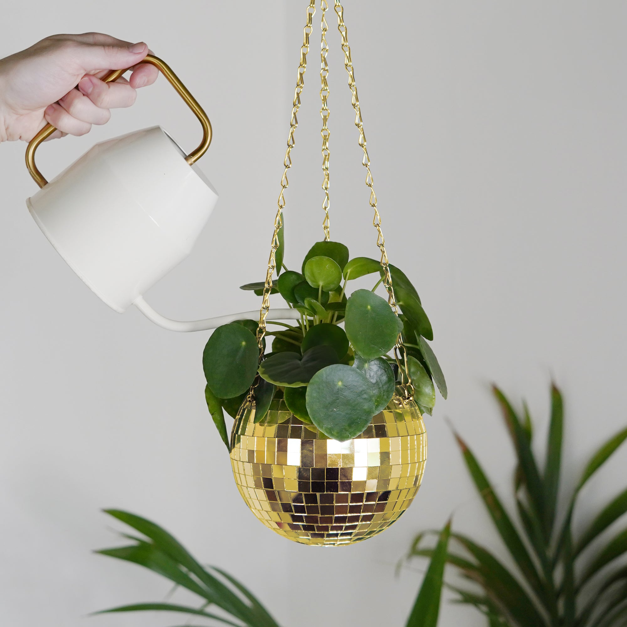Disco Ball Hanging Planter - Gold (6-inch)
