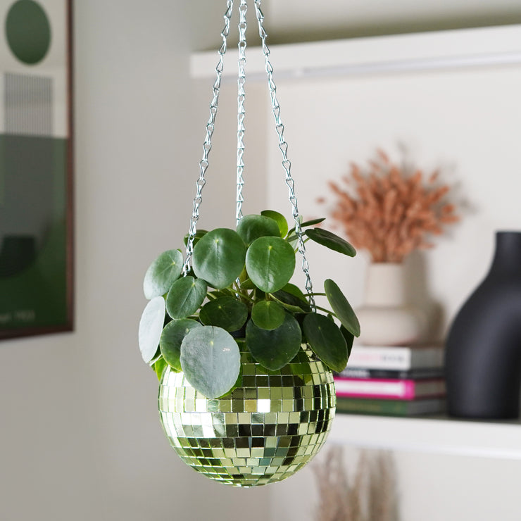 Disco Ball Hanging Planter: Green (6-inch)