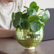 Disco Ball Hanging Planter: Green (6-inch)