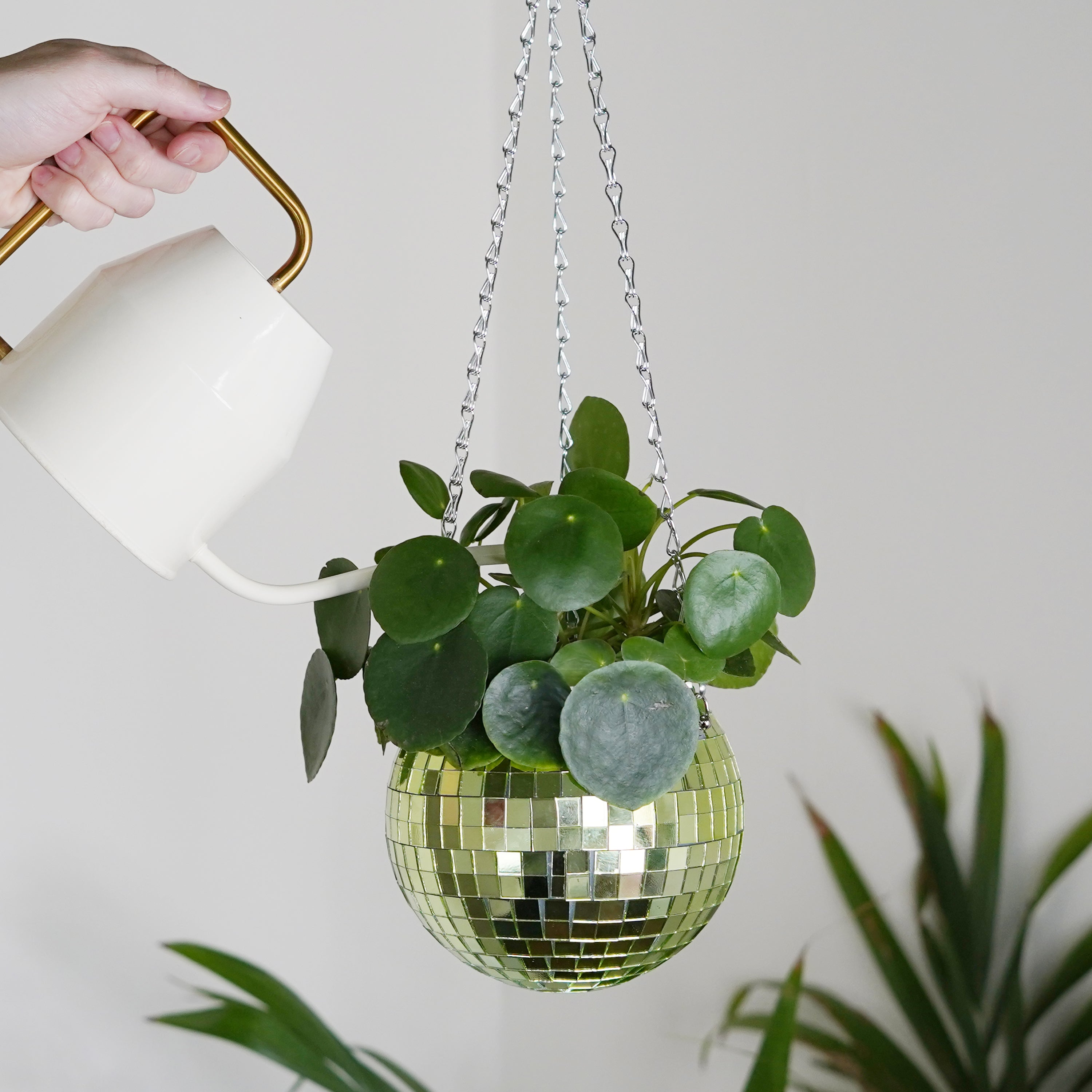 hanging planter ball Disco Ball Hanging Planter - Green (6-inch)