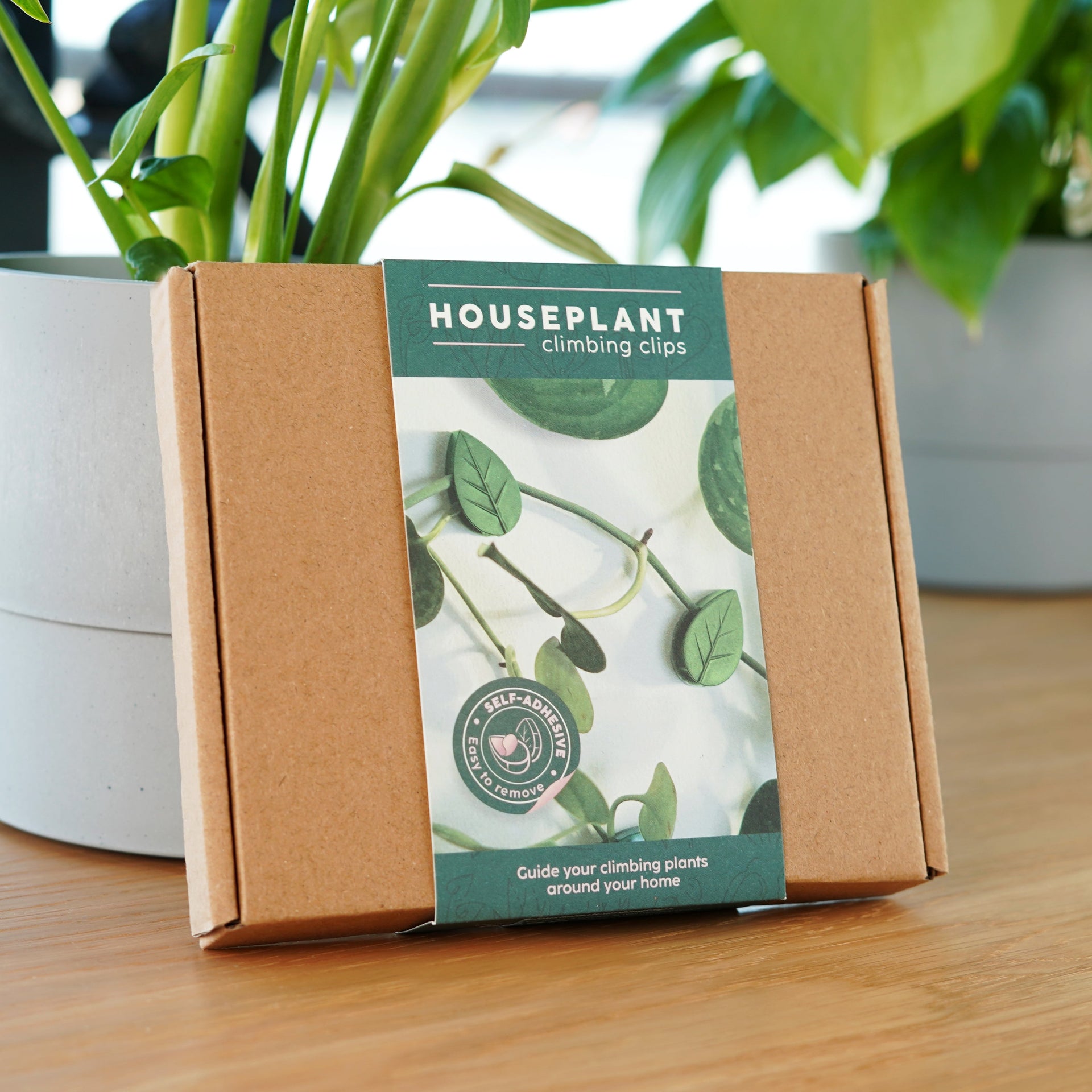 Houseplant Climbing Clips