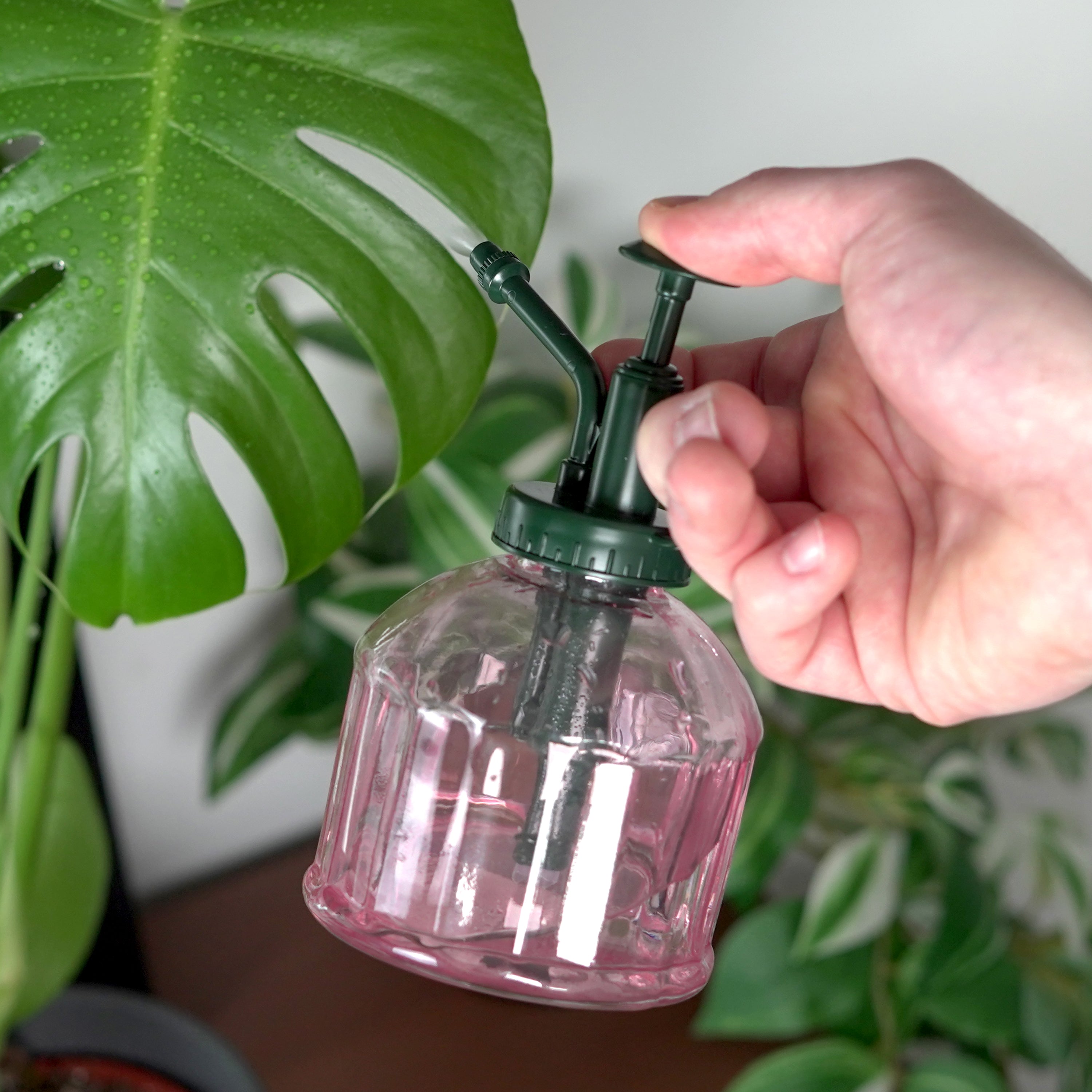 house plant spray bottle Houseplant Mister