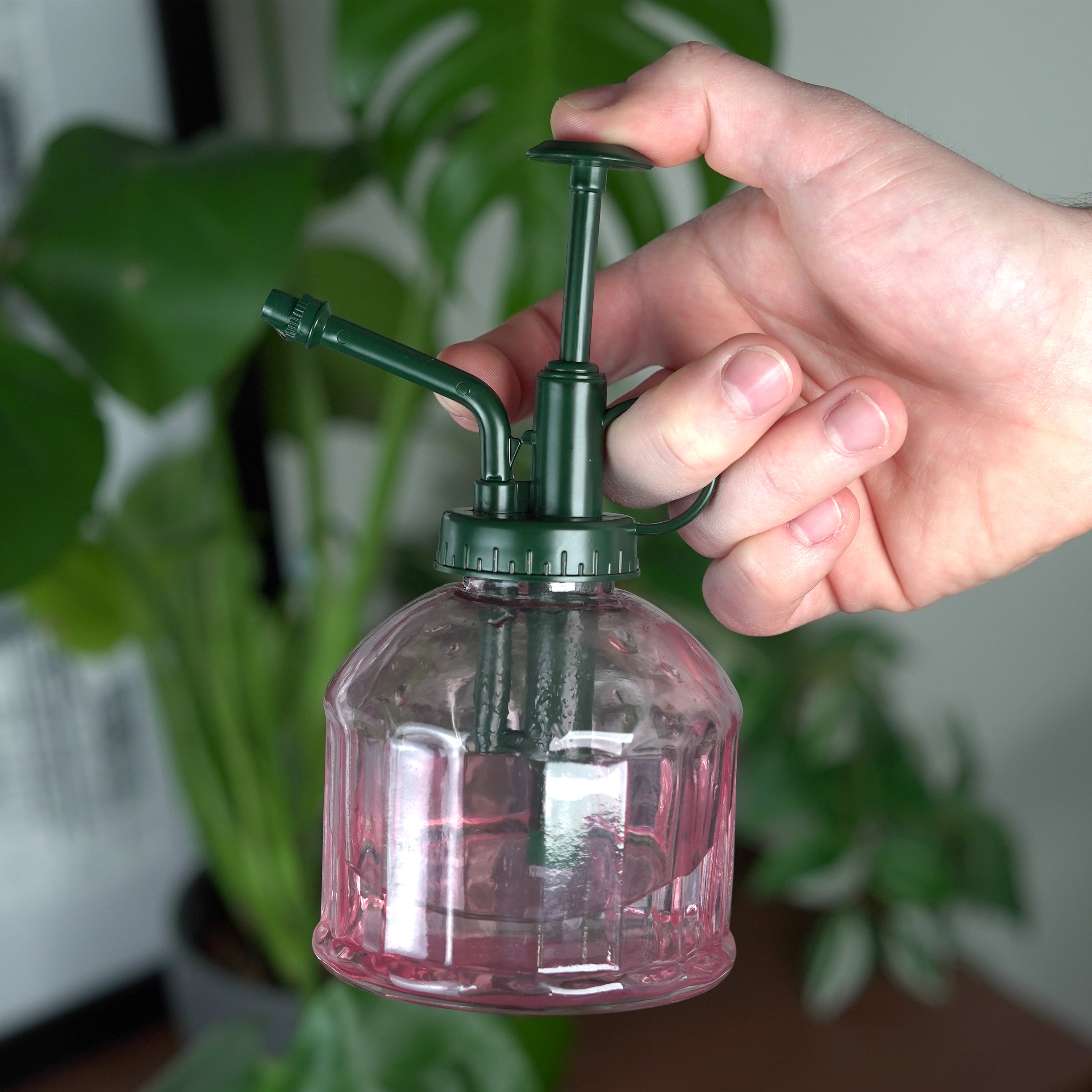 house plant mist sprayer Houseplant Mister