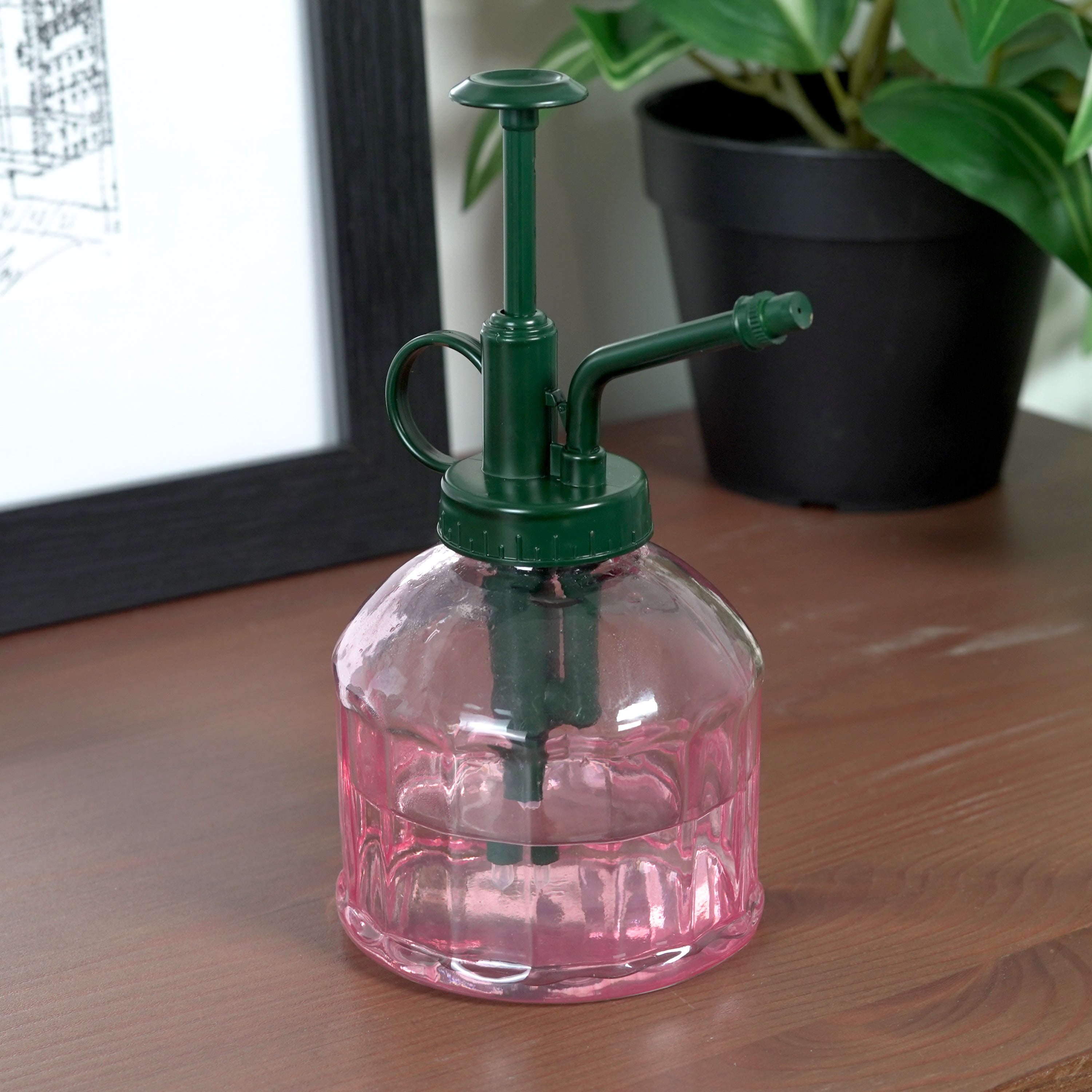 house plant mister spray Houseplant Mister