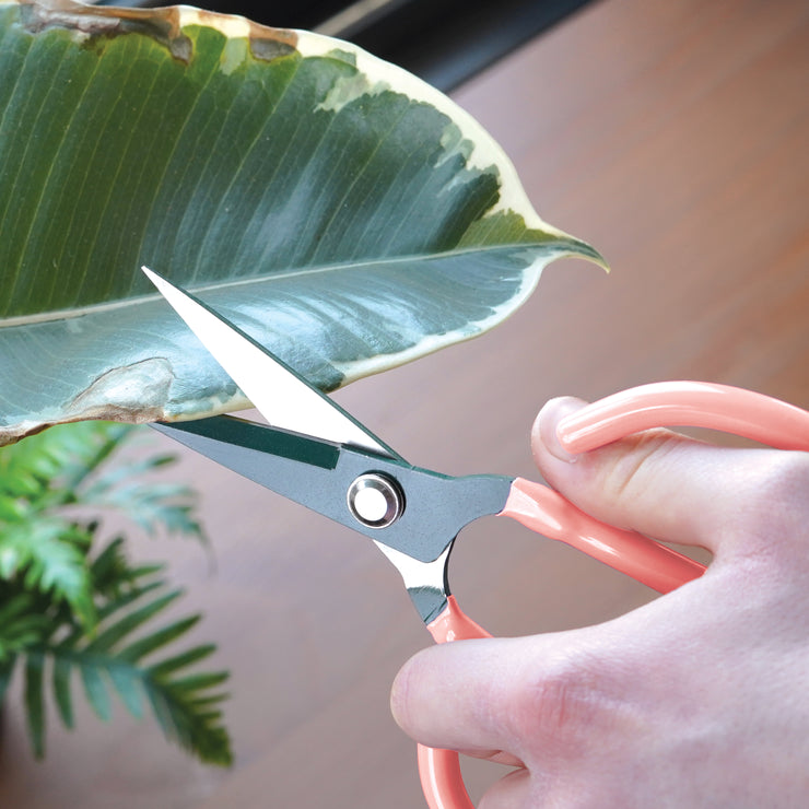 Houseplant Scissors