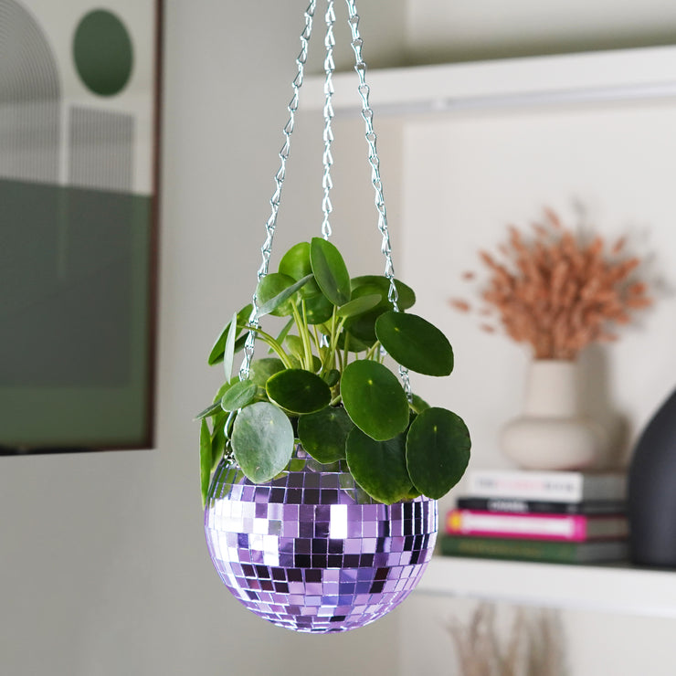 Disco Ball Hanging Planter Lilac (6-inch)