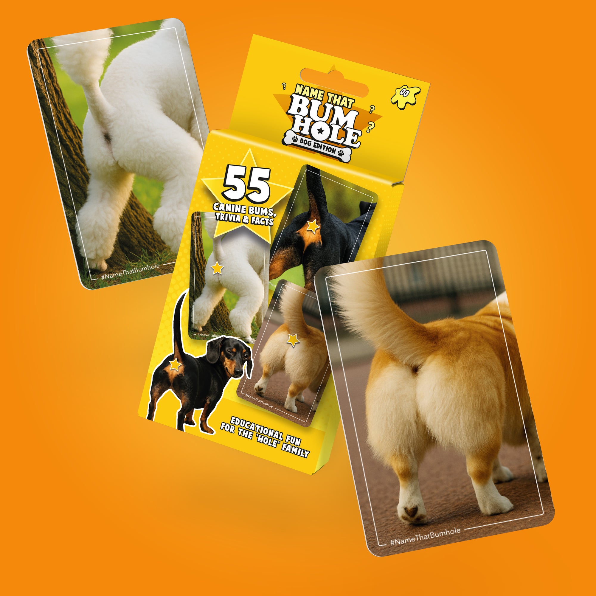 Name That Butt – Dog Edition