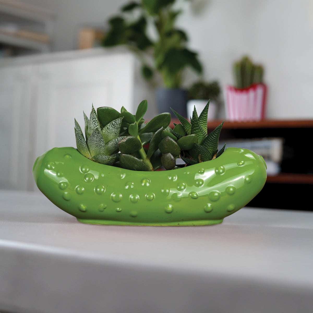 Pickle Planter