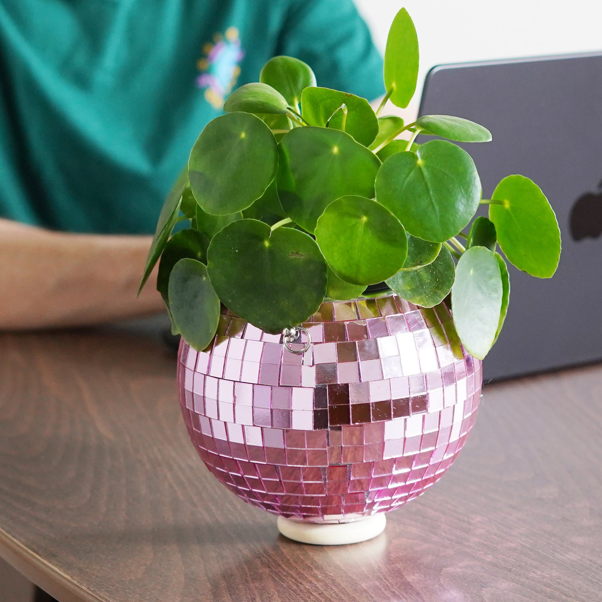 Disco Ball Hanging Planter: Pink (6-inch)