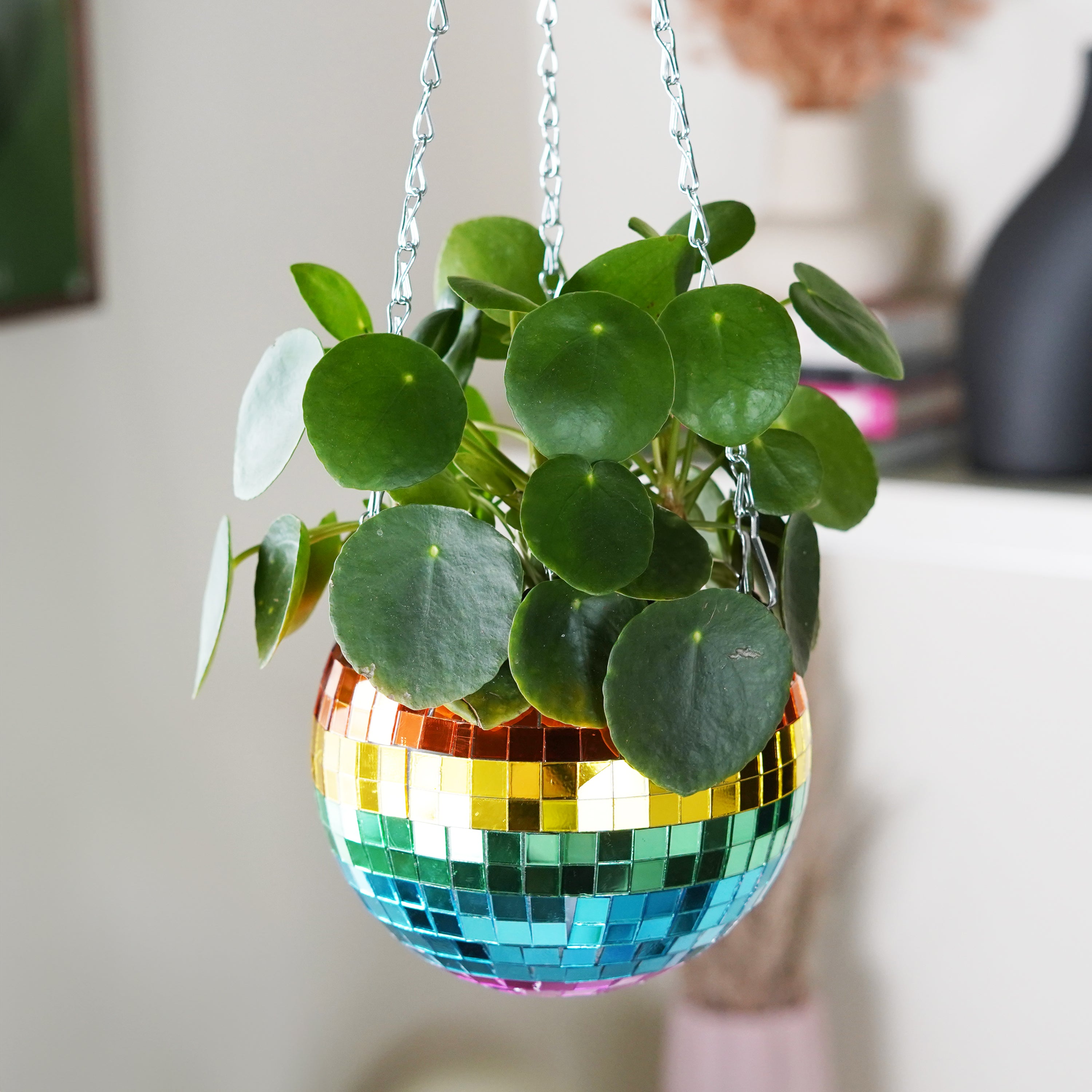 Disco Ball Hanging Planter - Rainbow (6-inch)