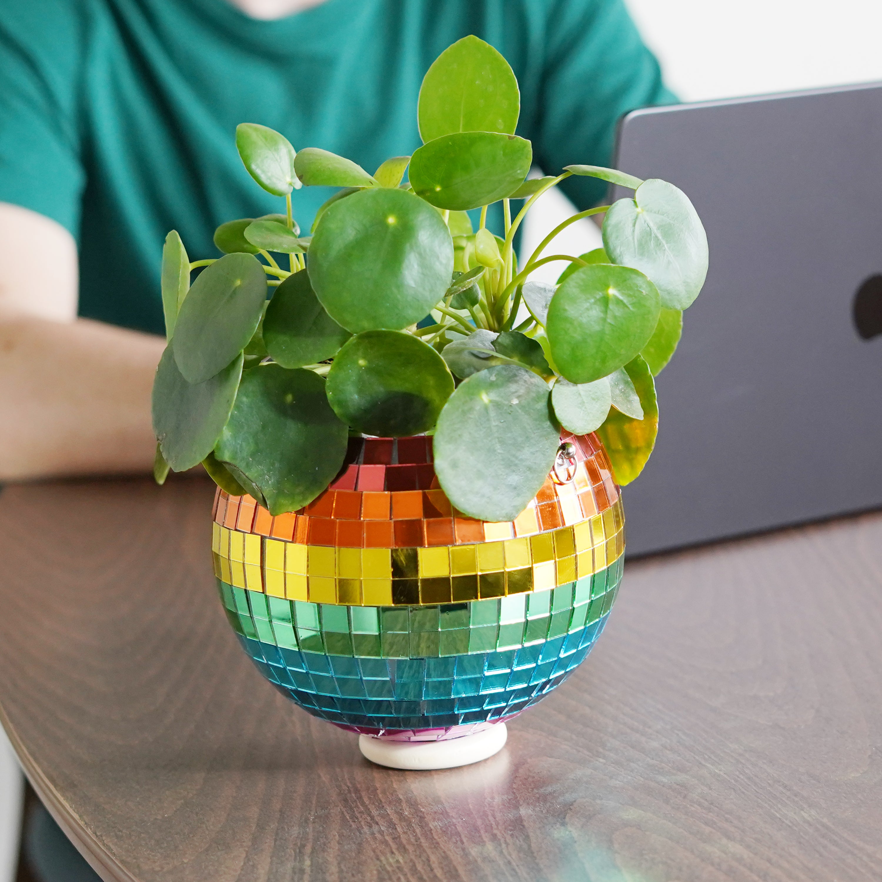 Disco Ball Hanging Planter - Rainbow (6-inch)