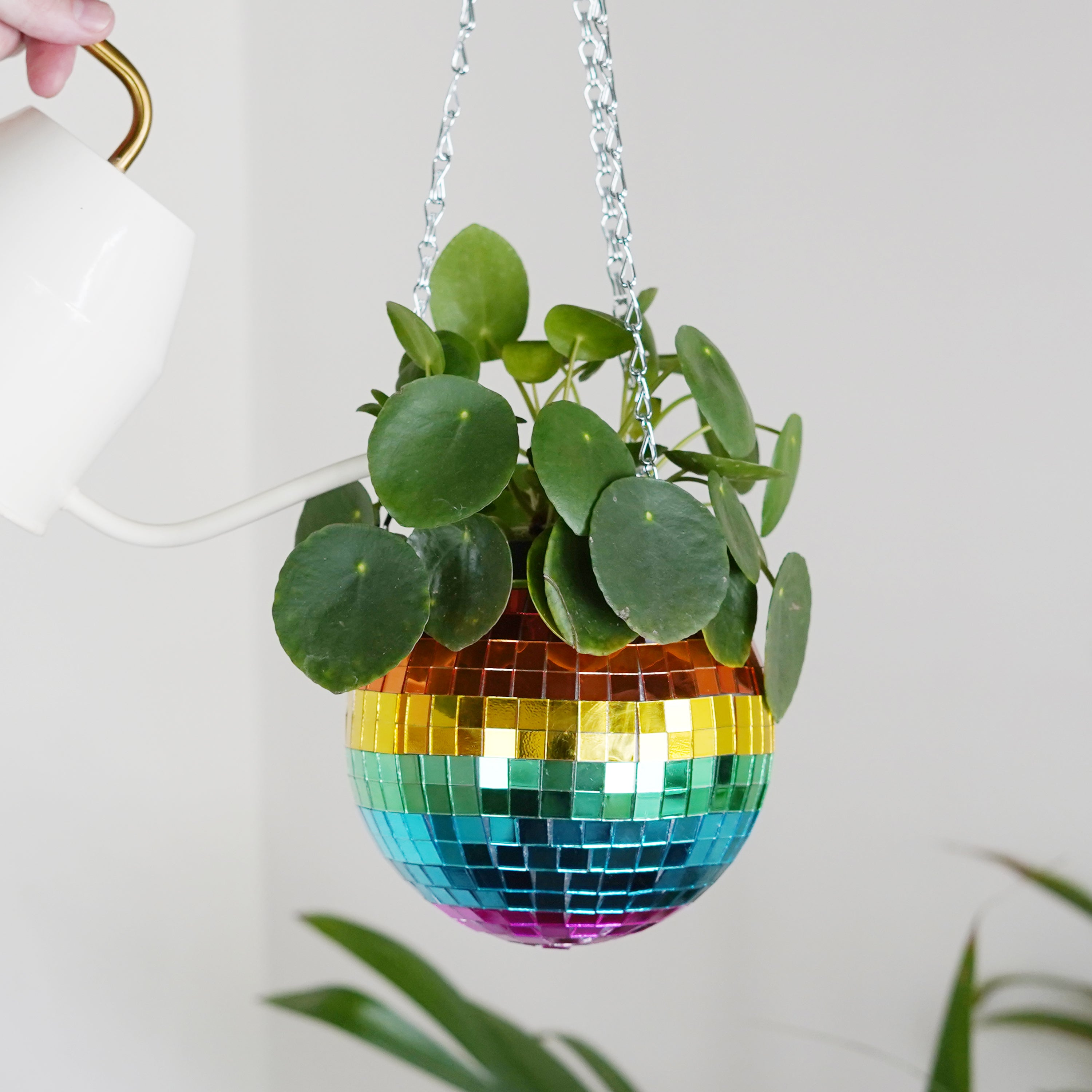 Disco Ball Hanging Planter - Rainbow (6-inch)
