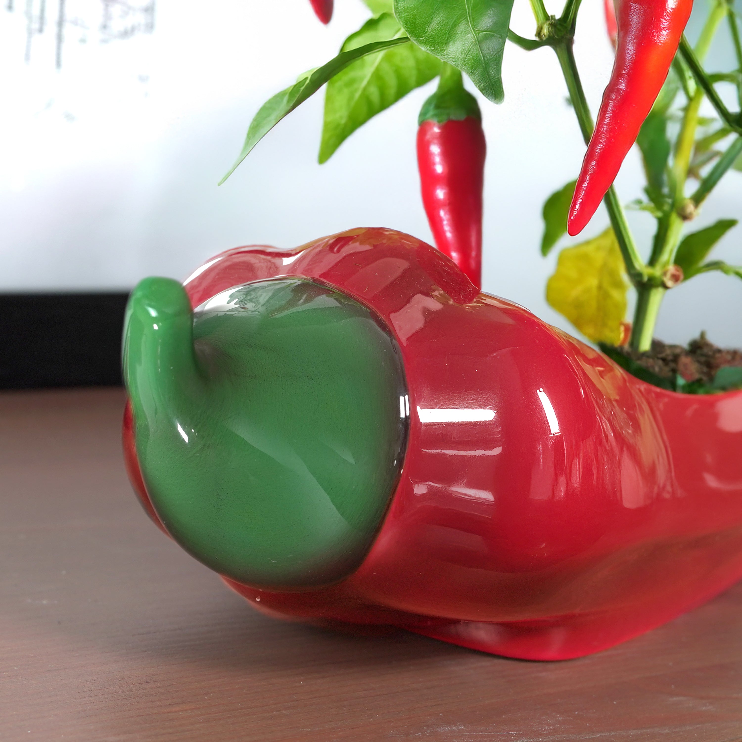 plant pot for chillies Red Hot Chili Planter