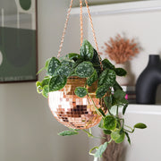 Disco Ball Hanging Planter - Rose Gold (8inch)