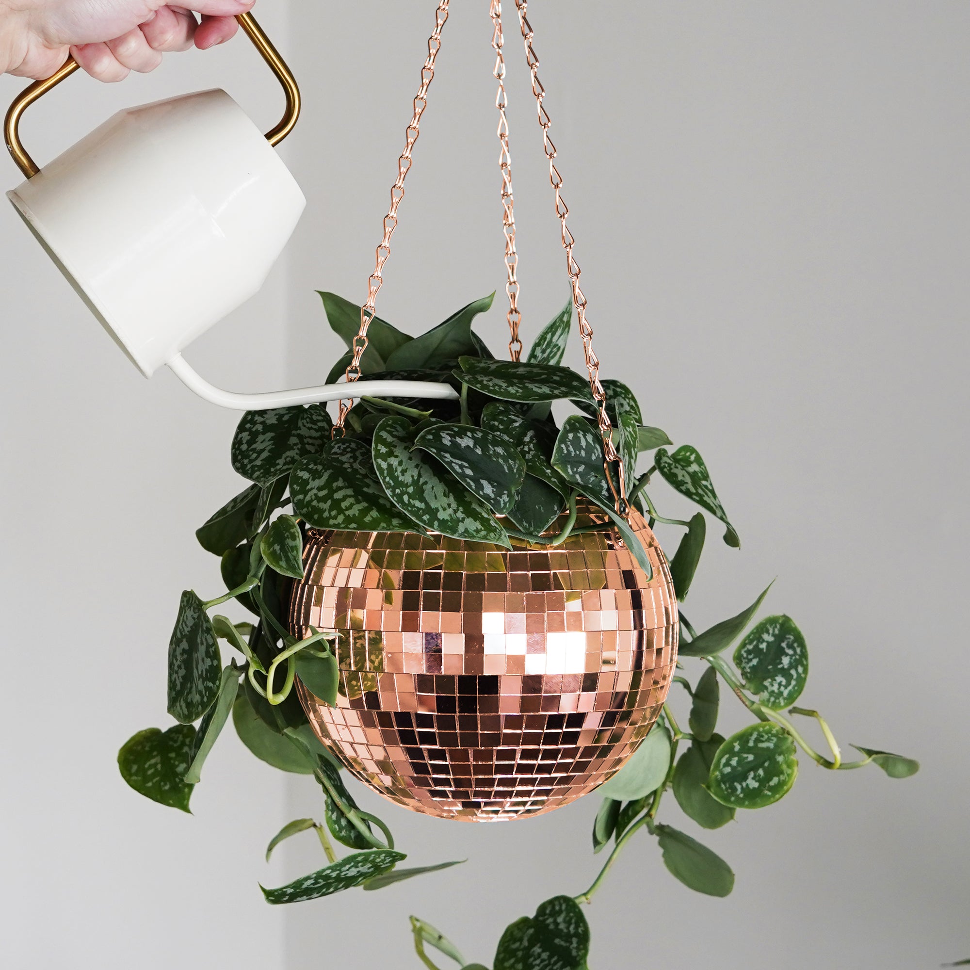 Disco Ball Hanging Planter - Rose Gold (8-inch)