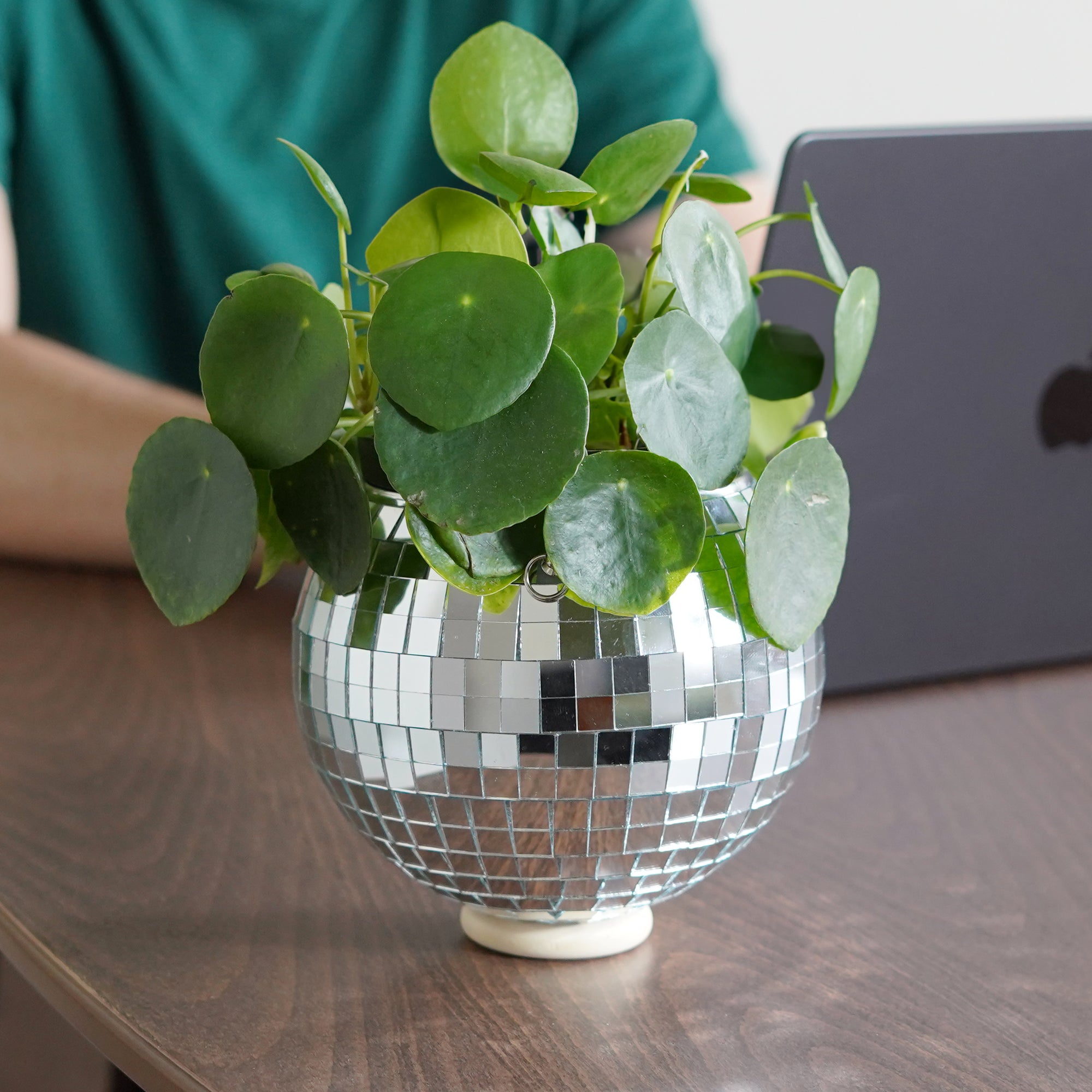 Disco Ball Hanging Planter (6-inch)