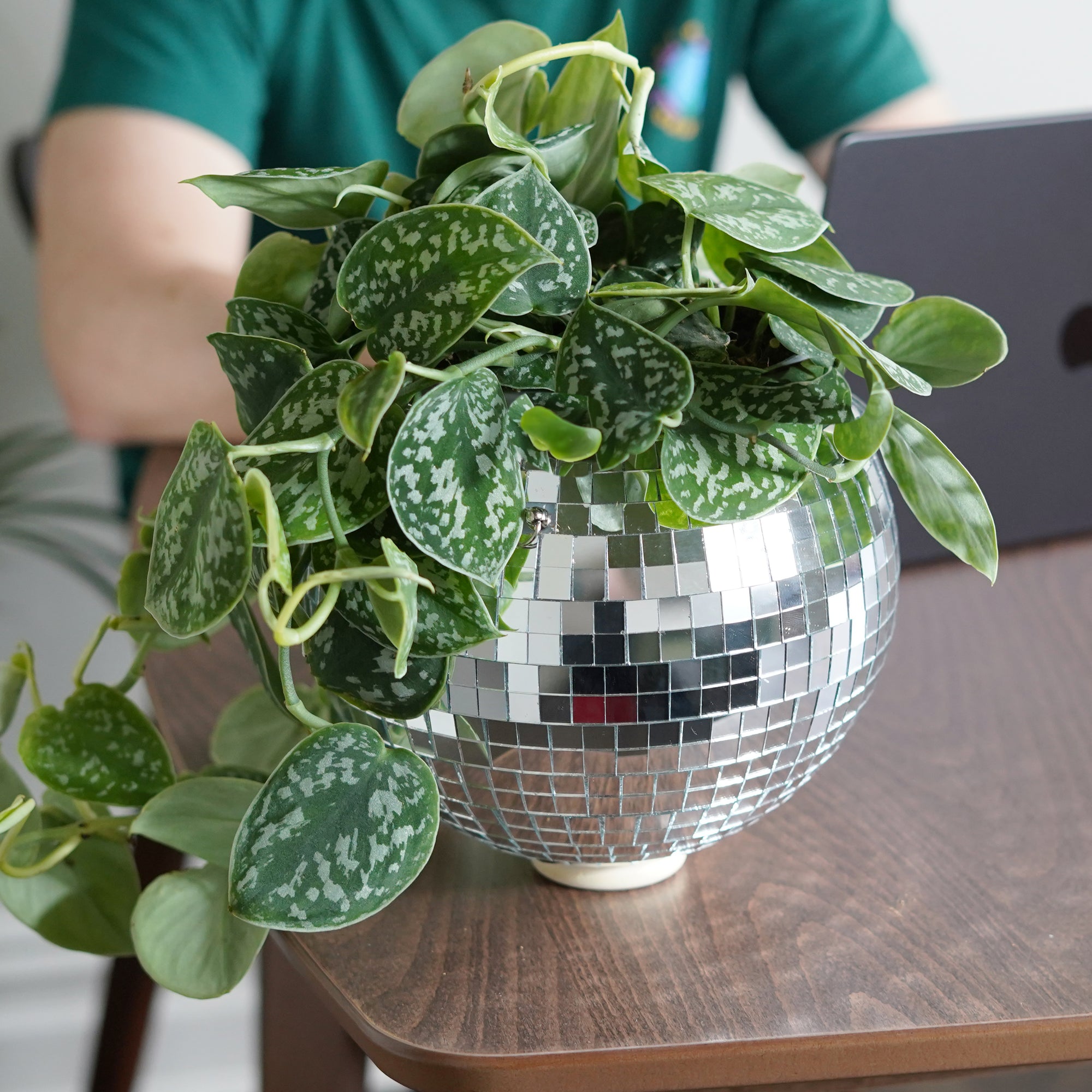 Disco Ball Hanging Planter (8-inch)