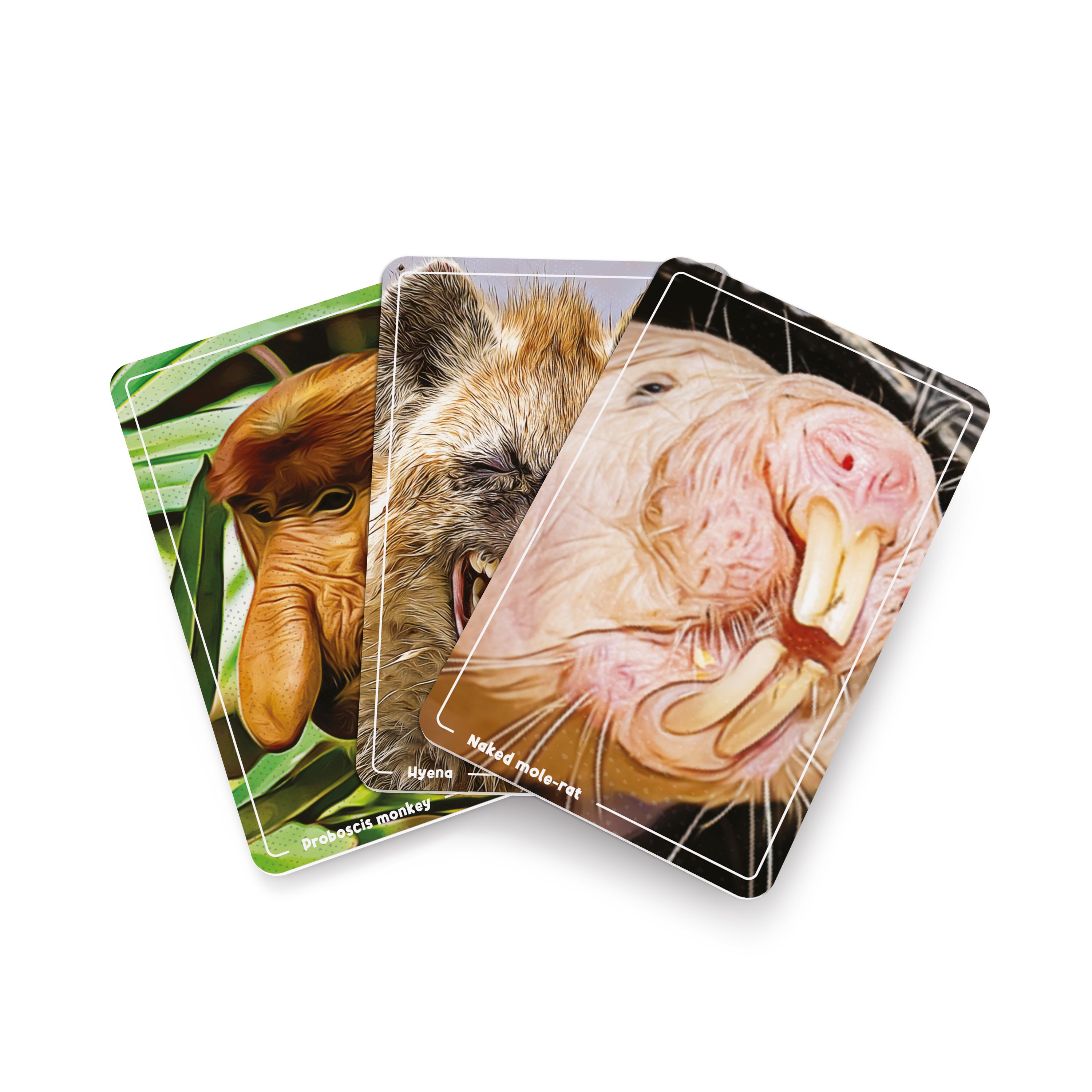 Ugly Animals