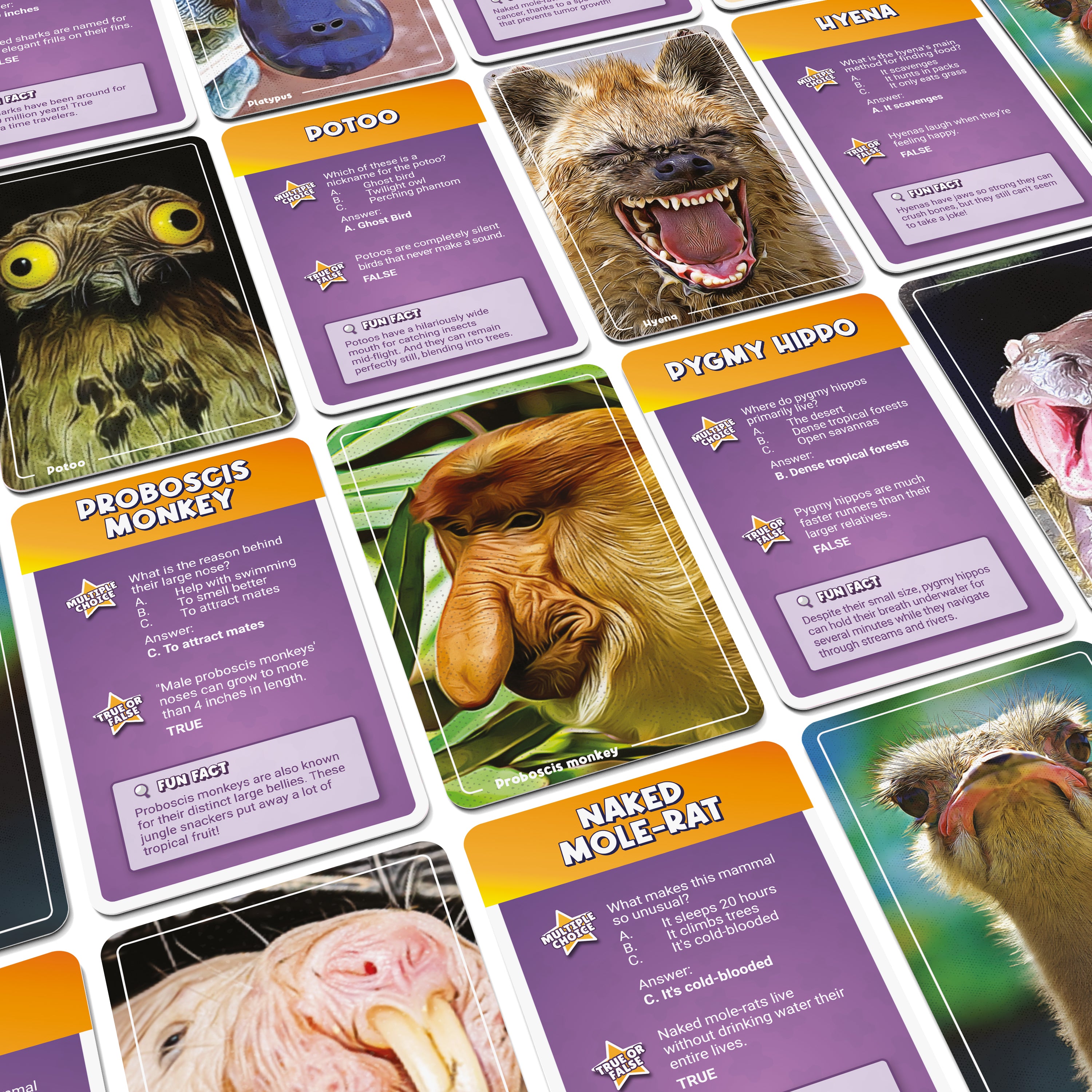 Ugly Animals