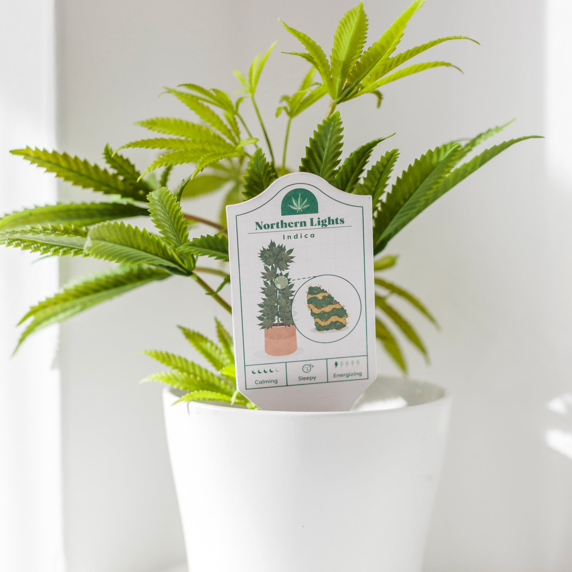 Cannabis Grower’s Guides