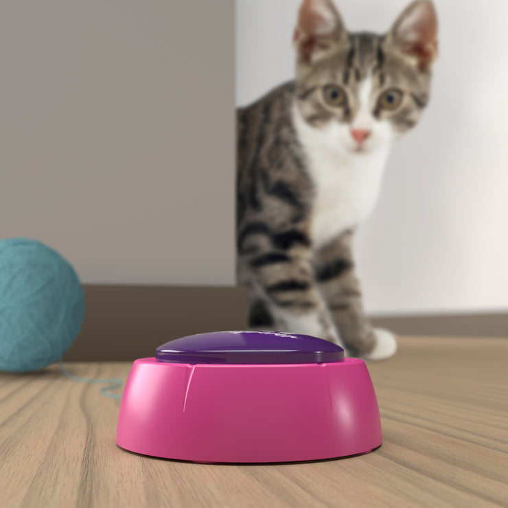 Cat Whisperer Sound Button
