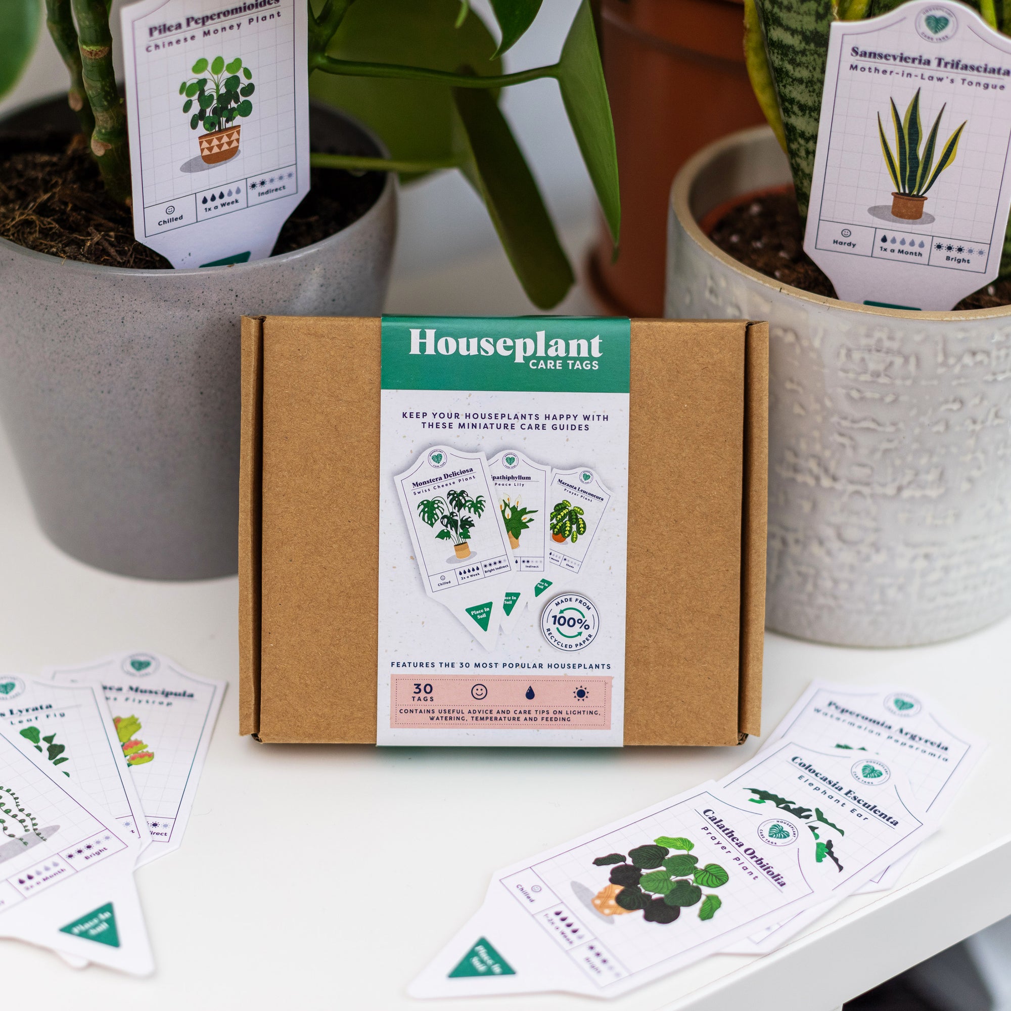 Houseplant Care Tags