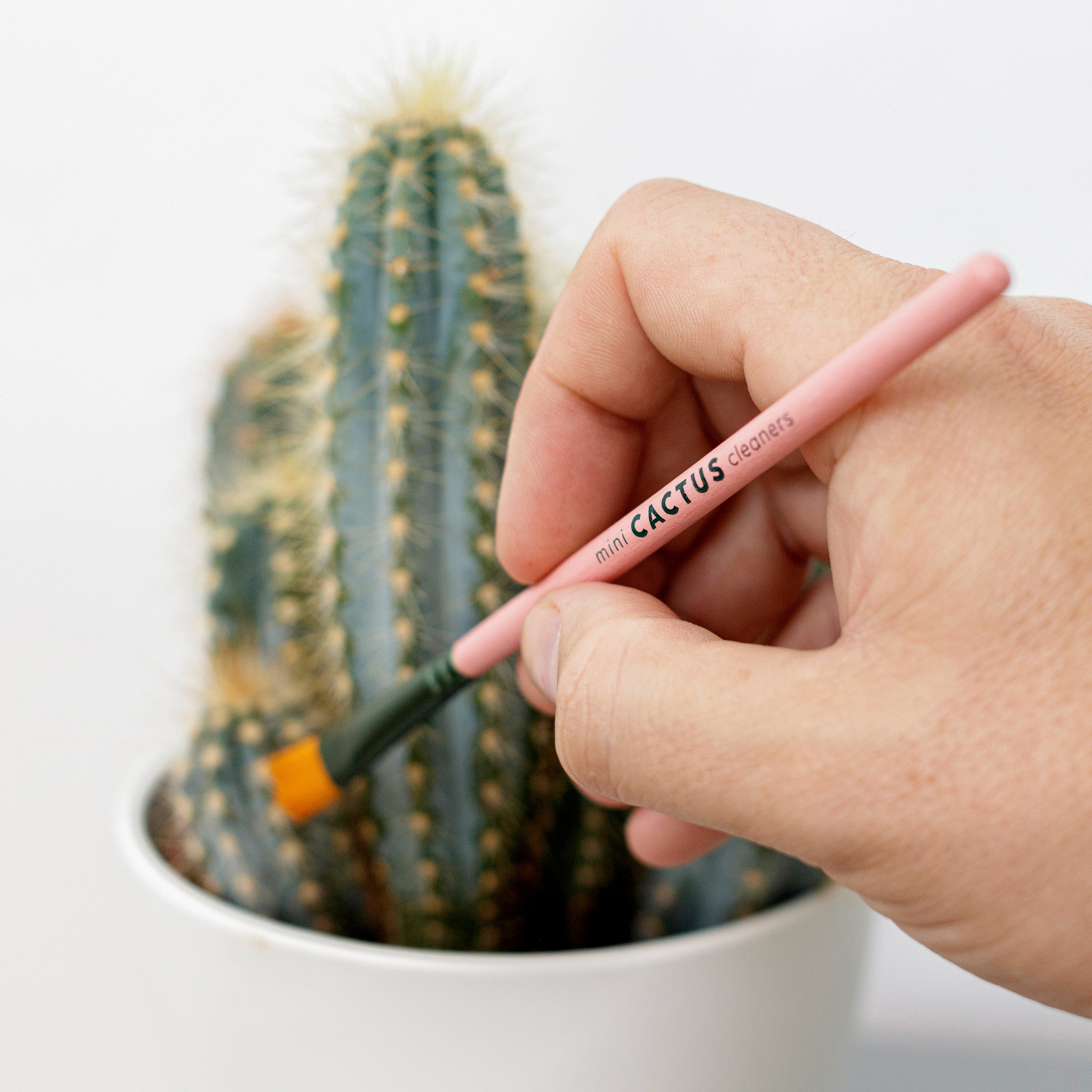 Mini Cactus Cleaners