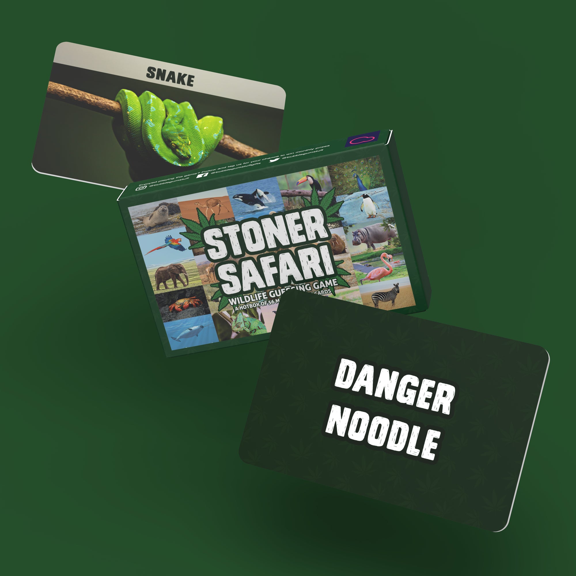 Stoner Safari