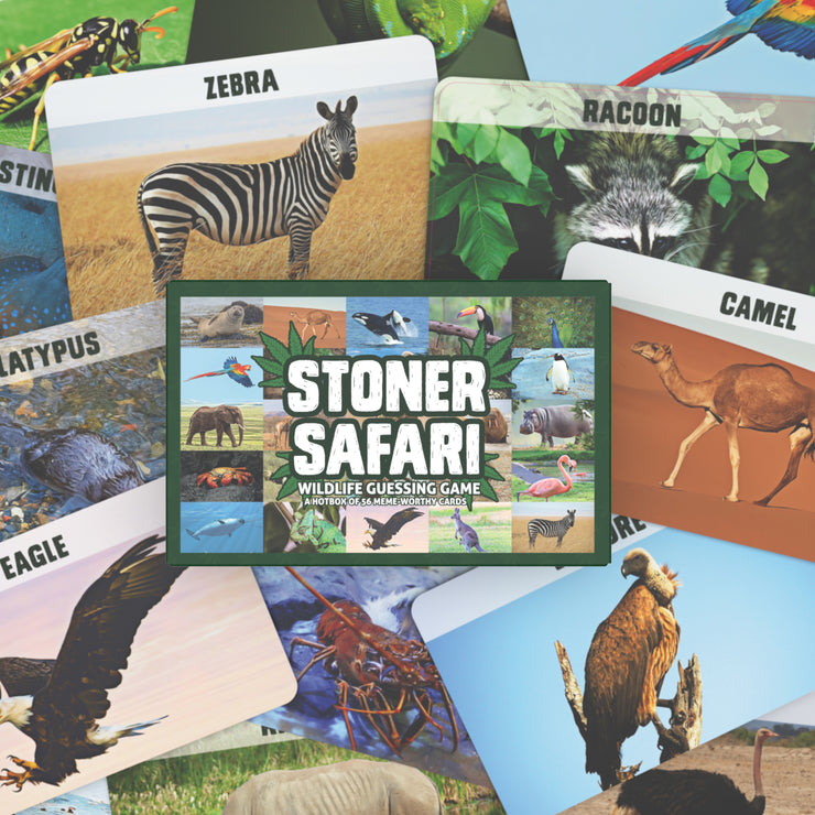 Stoner Safari