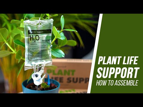 plant life support self-waterer Plant Life Support